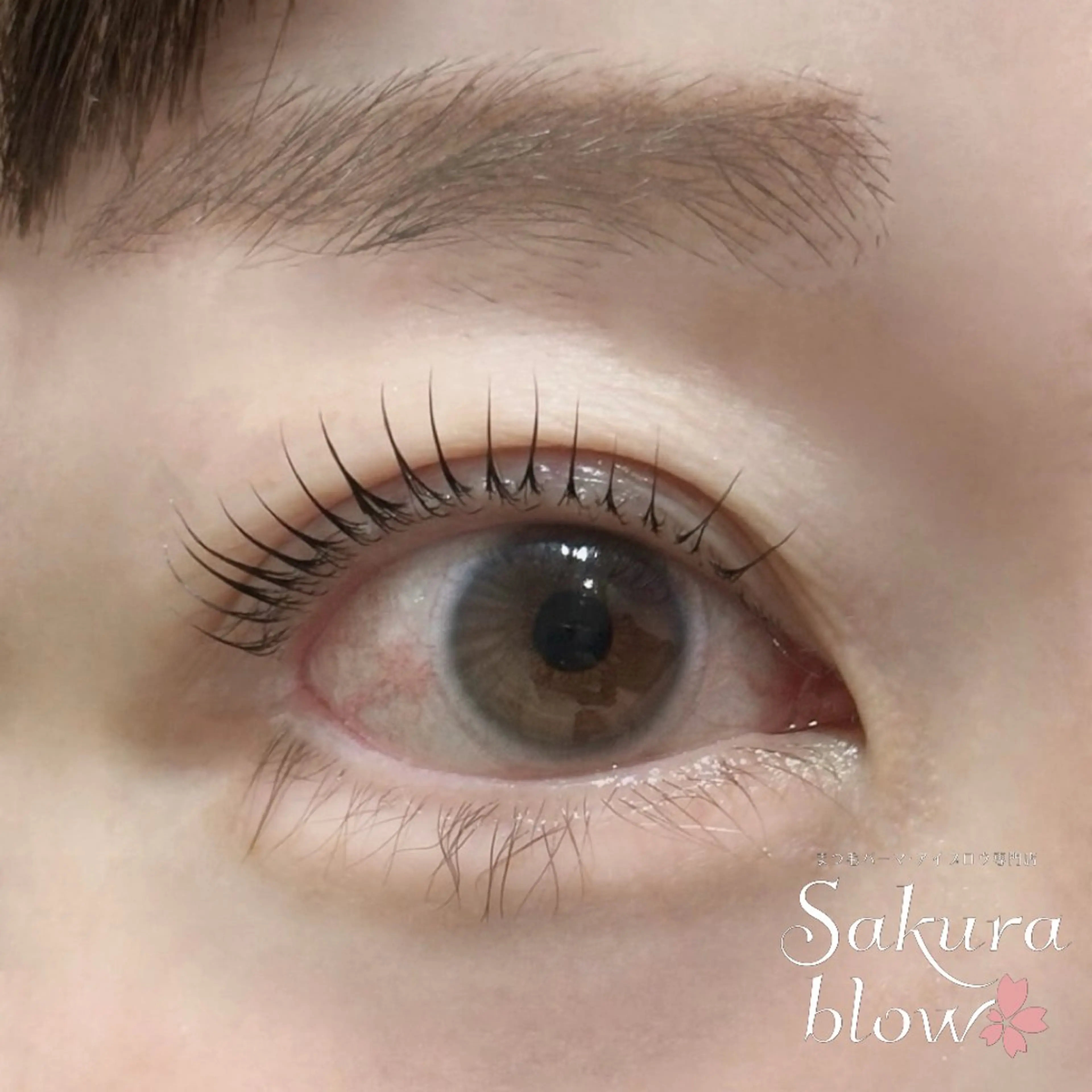 マツエク・マツパ サクラブロウ 心斎橋のマツエク・マツパデザイン