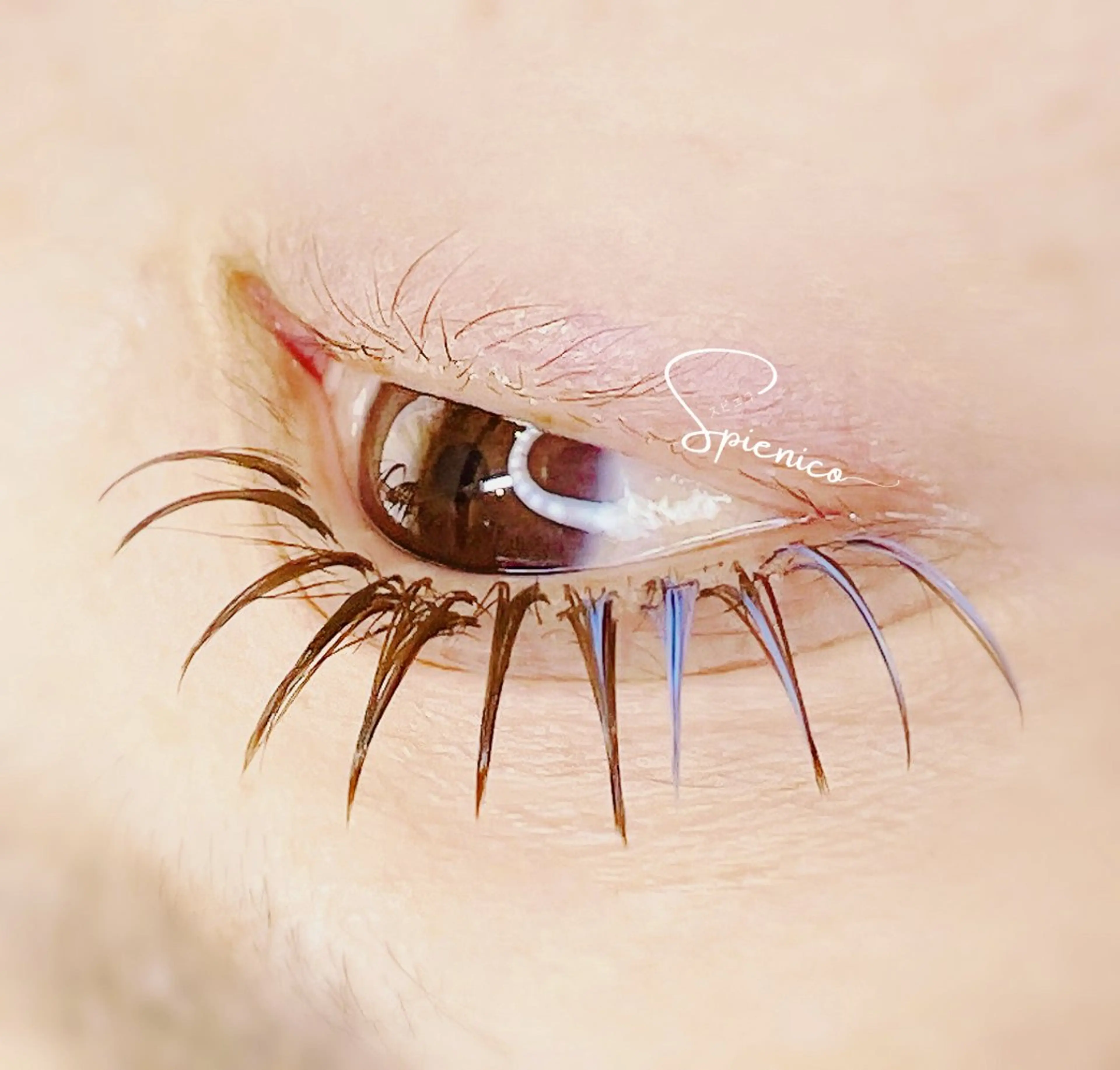 マツエク・マツパ Eyelash Spienicoのその他イメージ