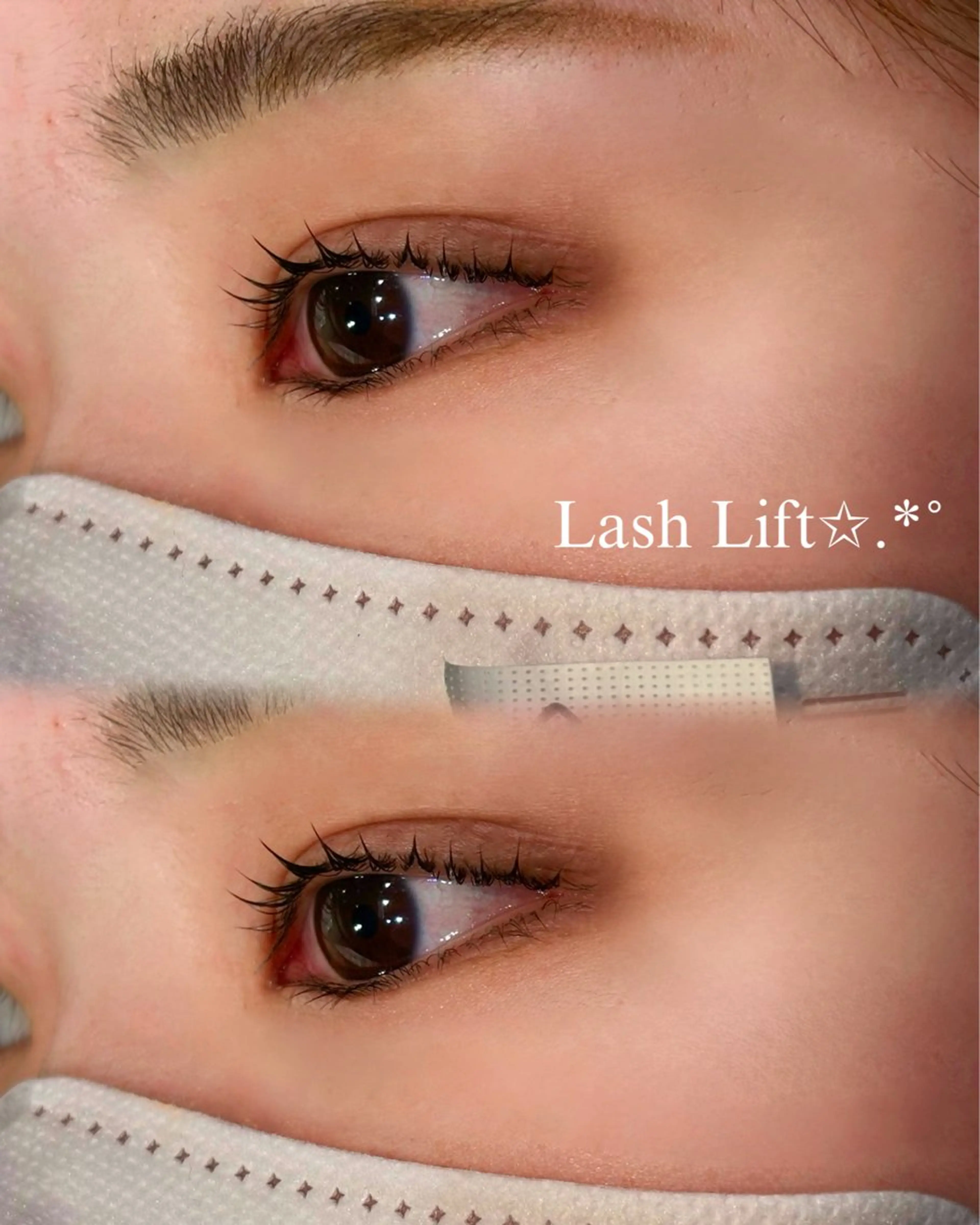 【4月限定🌸モデル価格✨️】ラッシュリフト♡の写真