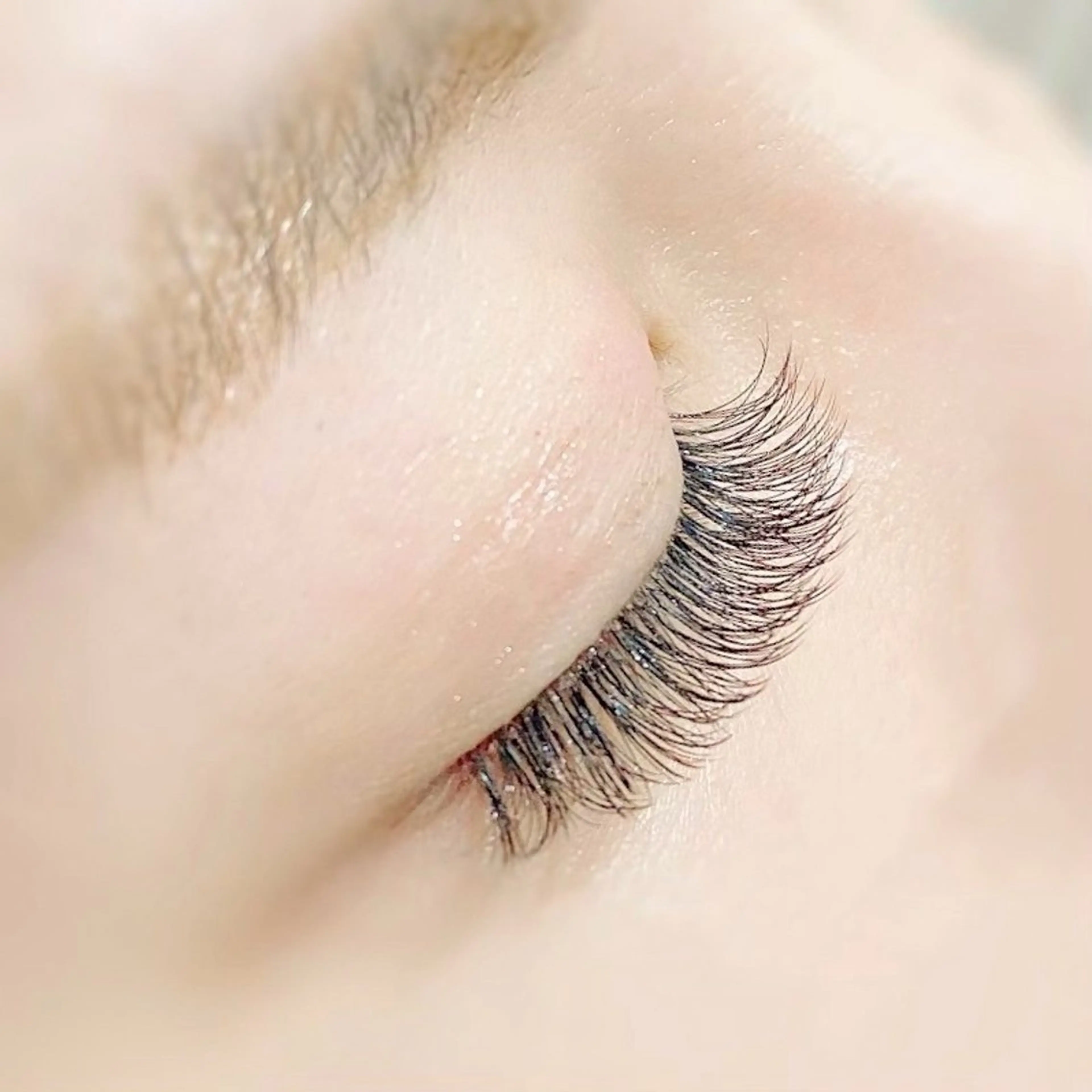 【オフ無し】LEDボリュームラッシュ100束400本(片目50束200本ずつ)負担軽減シングルの1/2の写真