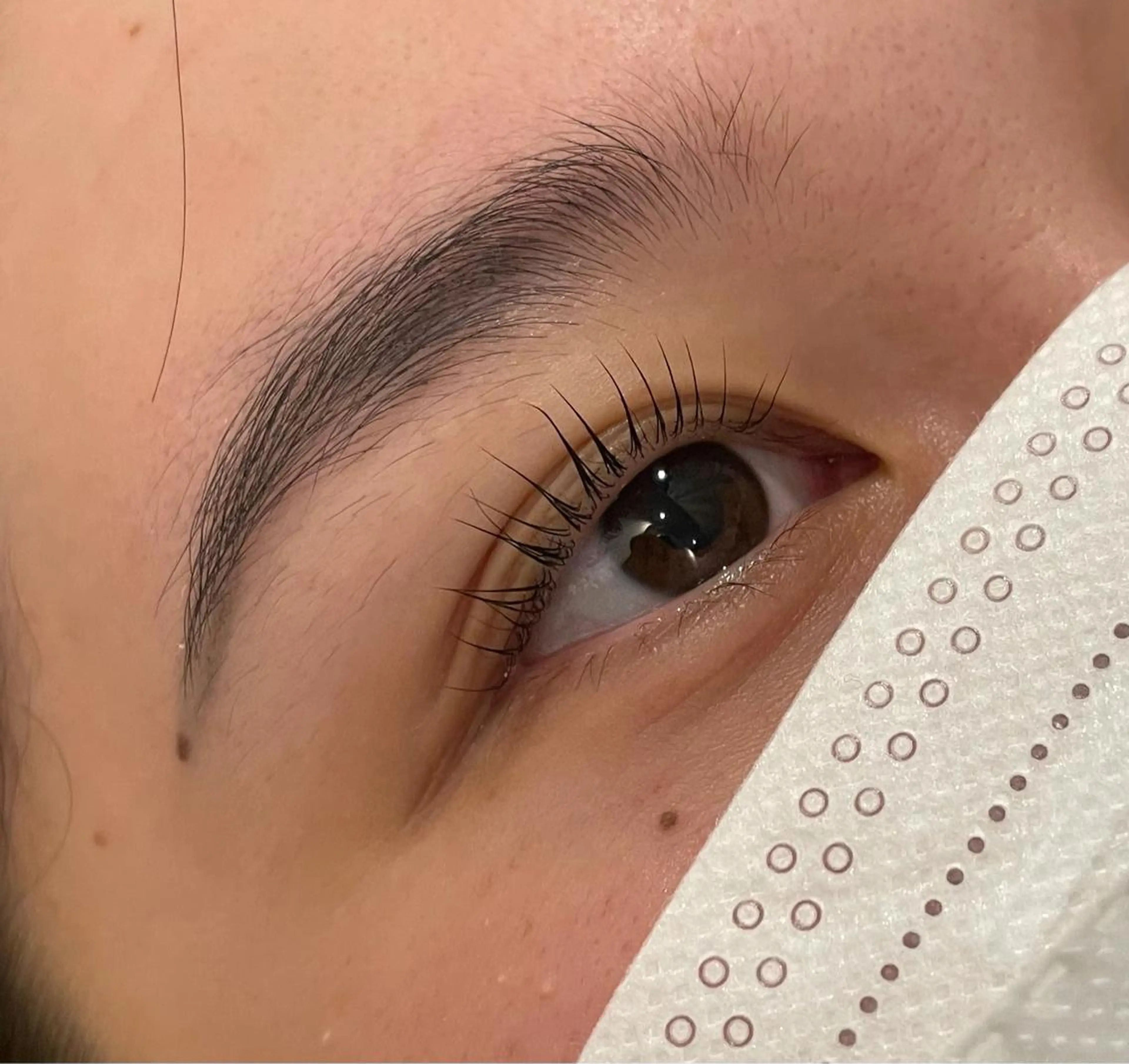 マツエク・マツパ 🦋MODE K's ema 🦋の眉毛・アイブロウイメージ