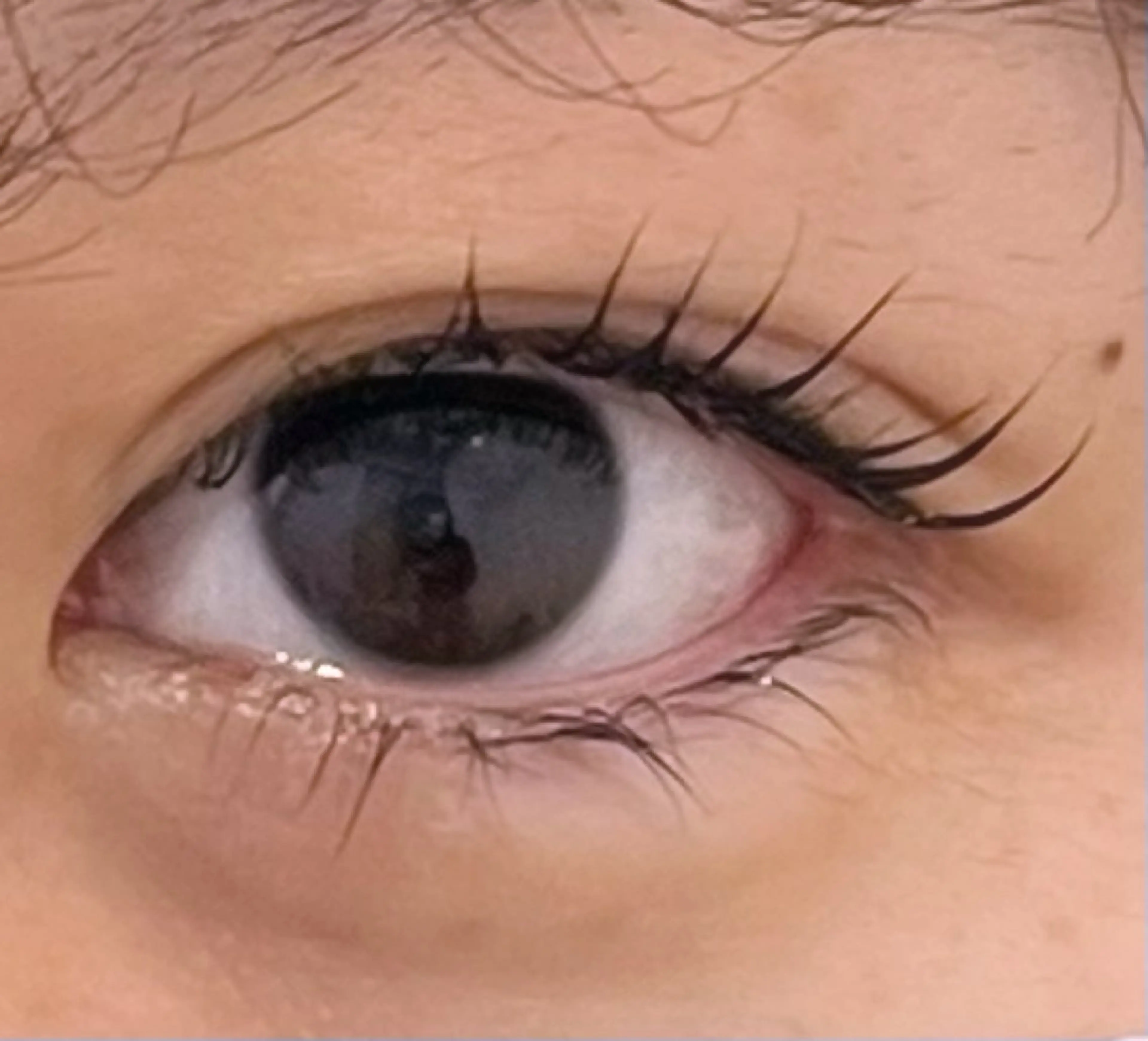 マツエク・マツパ 笹岡 真愛のマツエク・マツパデザイン