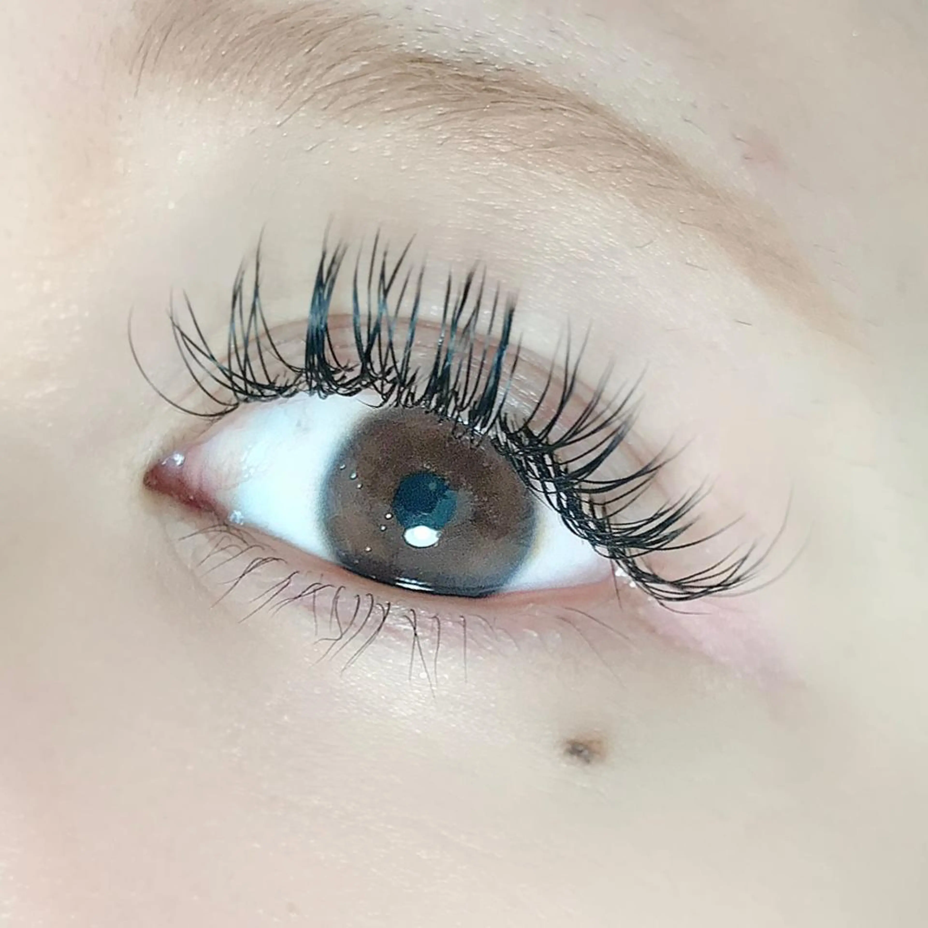 ロング カラー パーマ ヘアアレンジ メンズ キッズ ネイル マツエク・マツパ アイブロウ 真夜中のまつ毛 APOPI'Sのマツエク・マツパデザイン