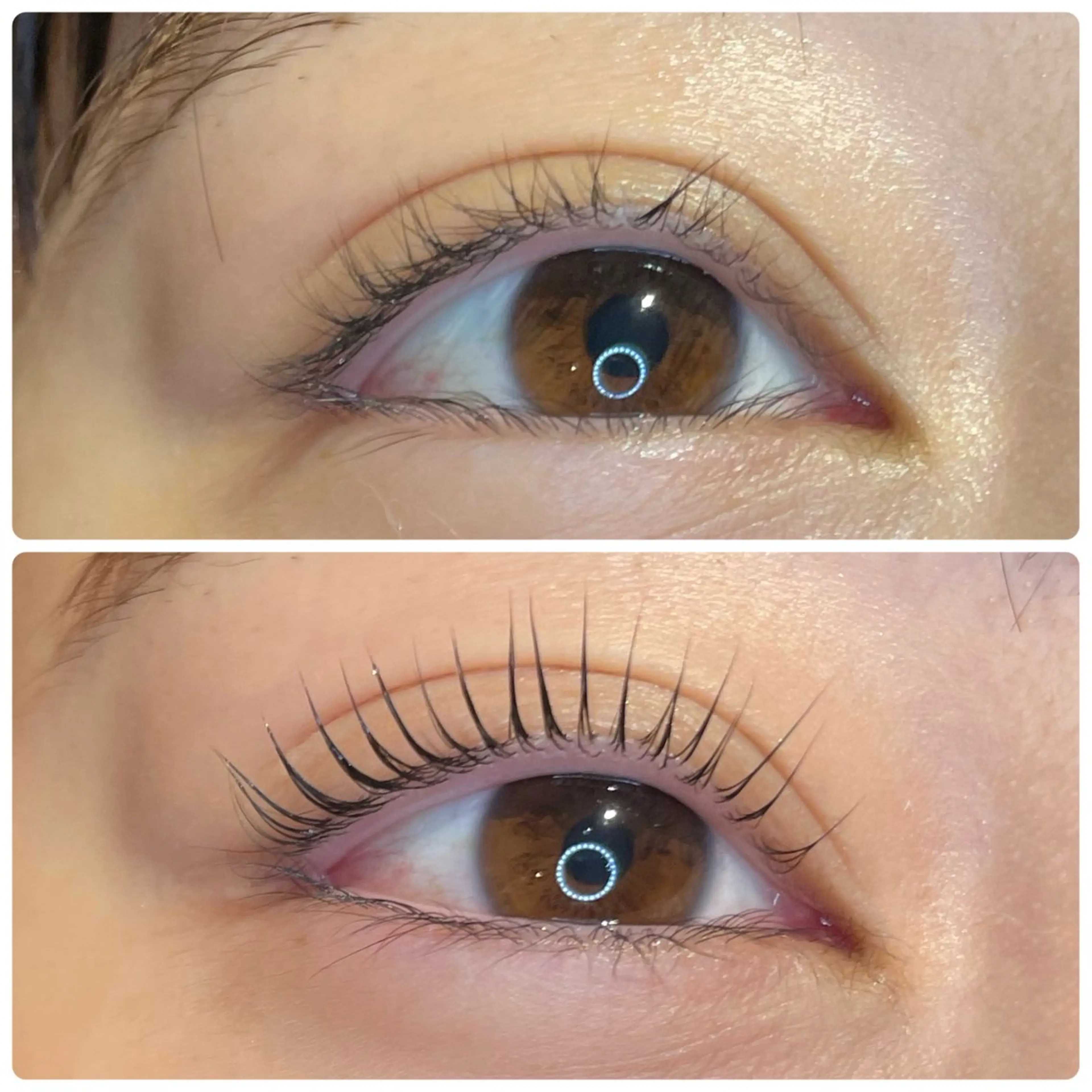 【平日】🍀ラッシュリフト・まつ毛パーマの写真