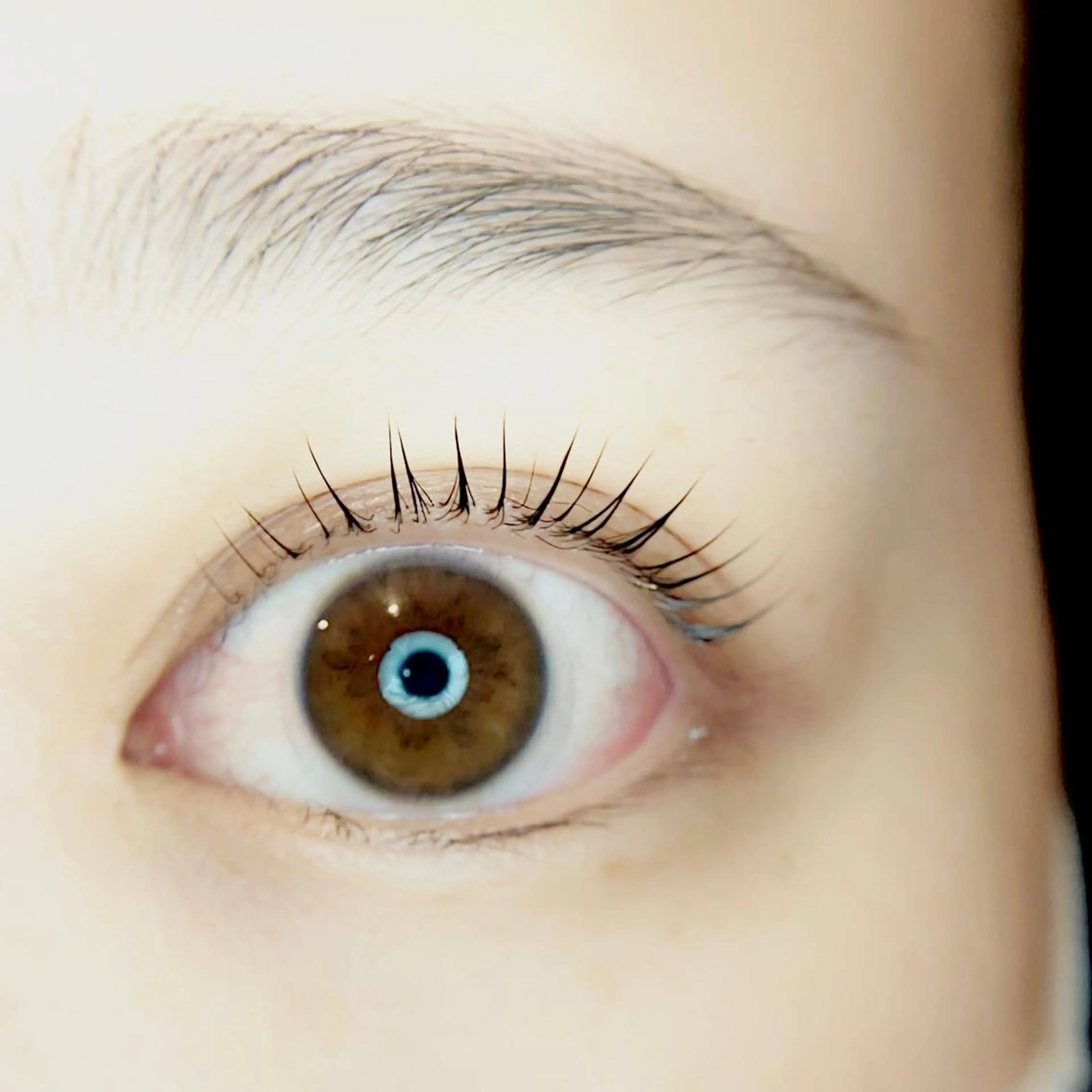 マツエク・マツパ マツパ Vif【ヴィフ】所属・【 Vif 】 SHIORIのマツエク・マツパデザイン