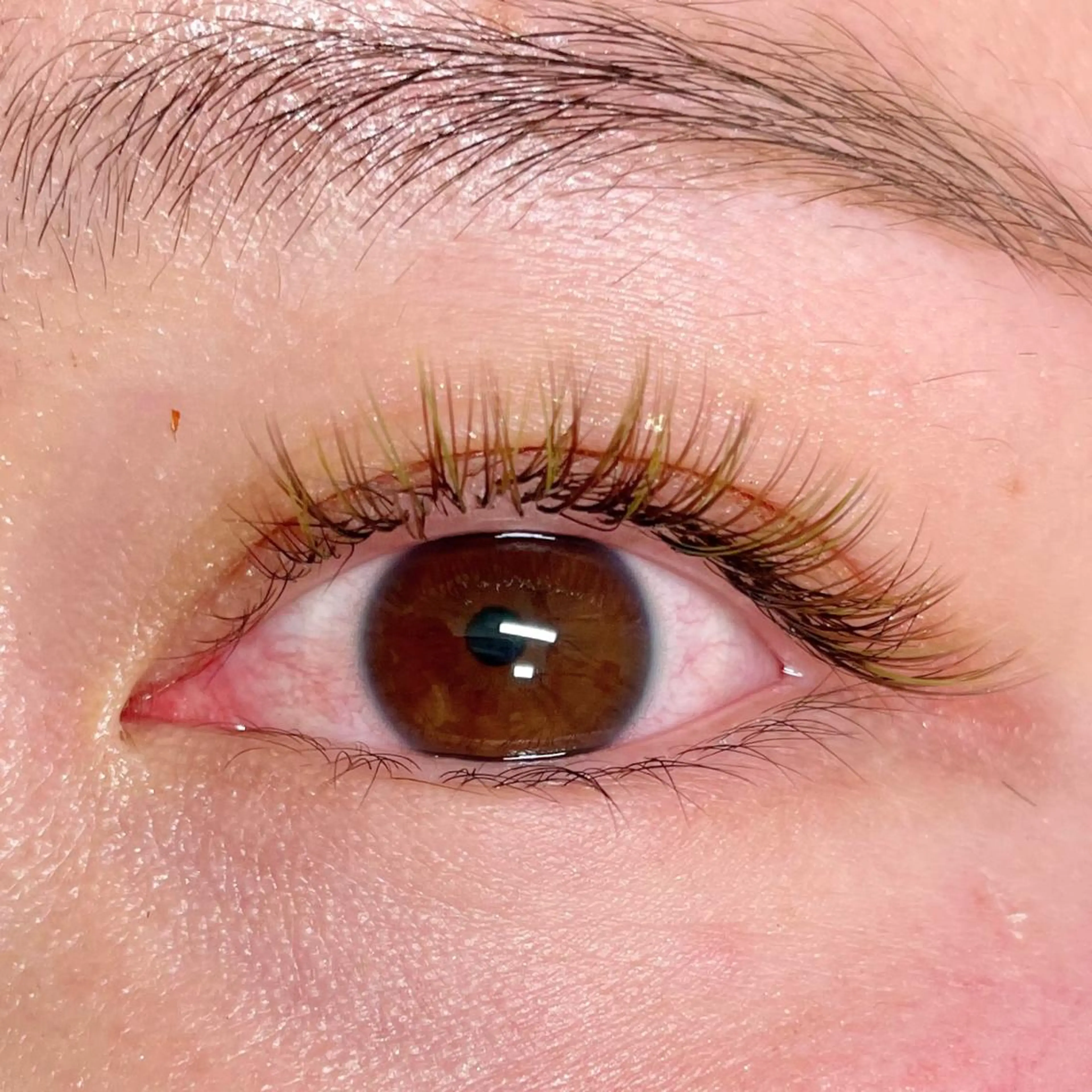 マツエク・マツパ カラーマツエク Cherie muのマツエク・マツパデザイン