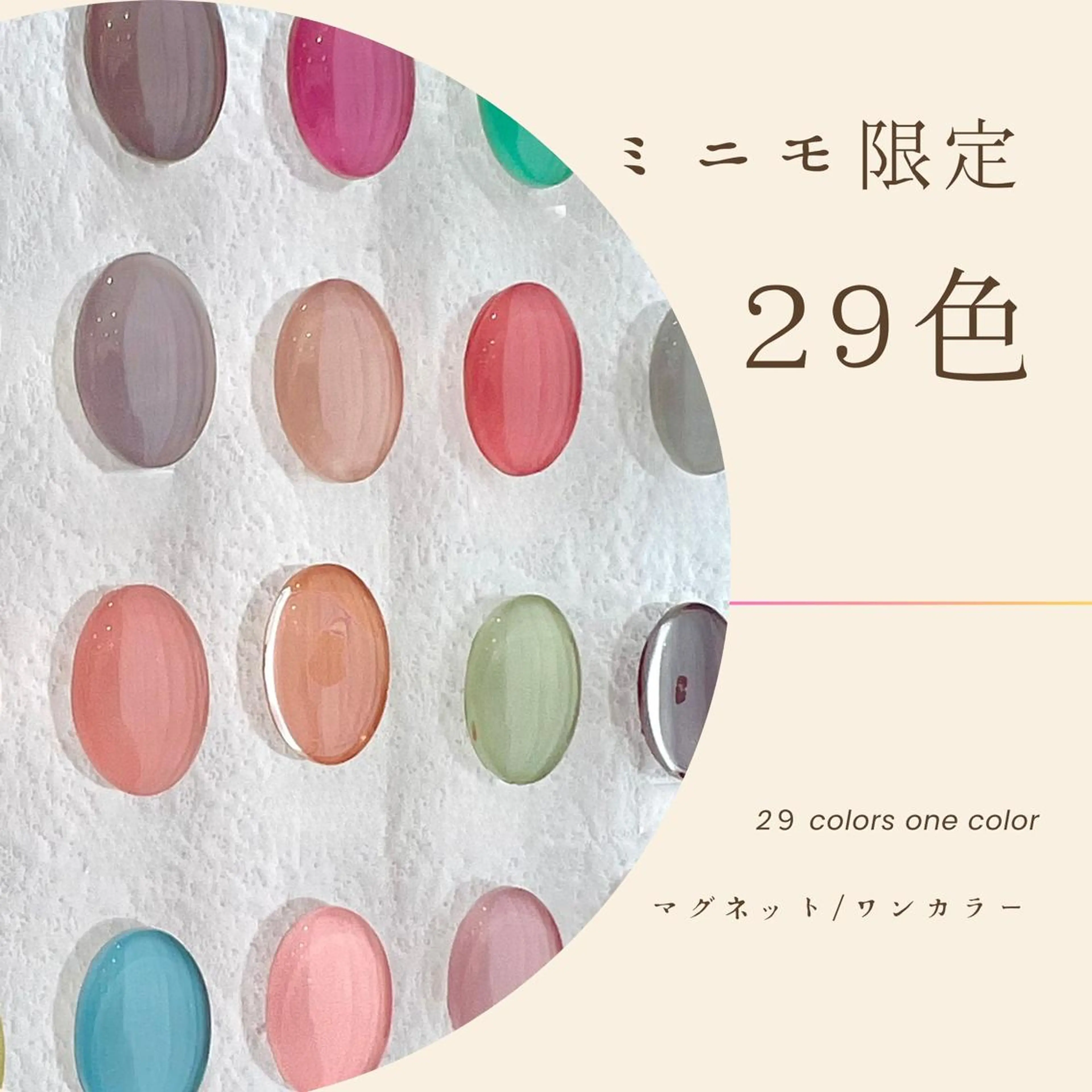 オフなし｜選べる２９色　ワンカラー/マグネット/フラッシュの写真