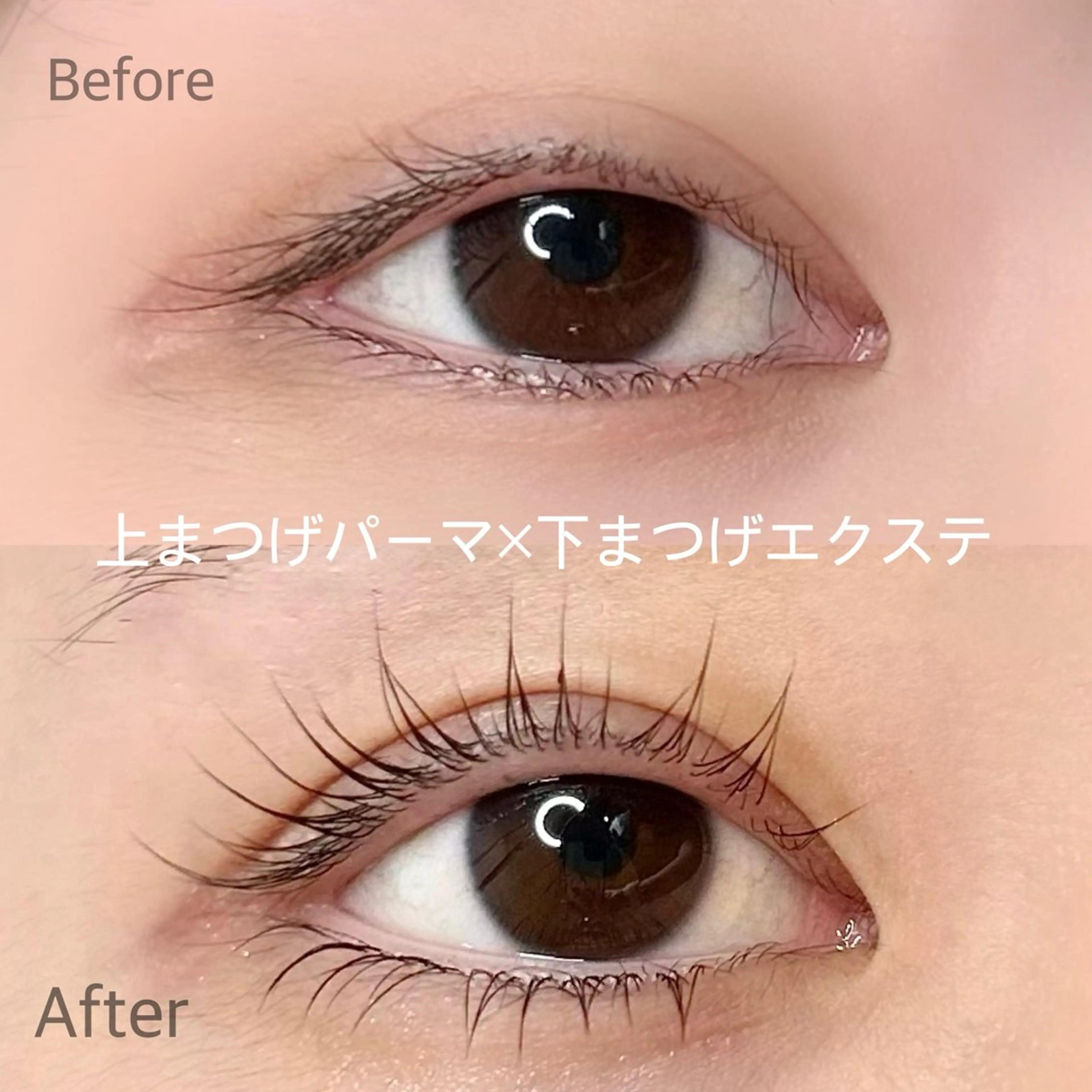 マツエク・マツパ まつげパーマ マツパ elua eyelashの眉毛・アイブロウイメージ