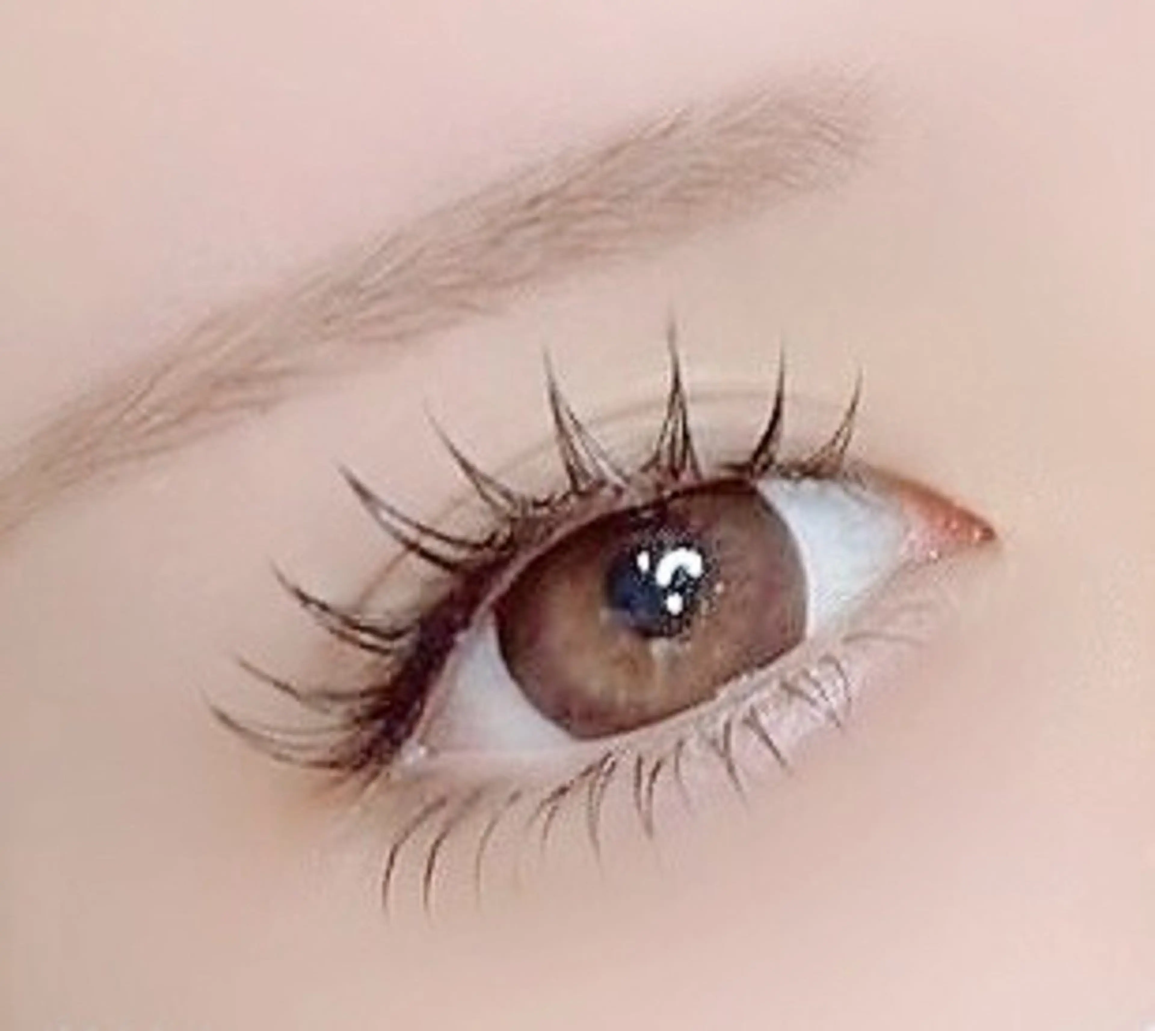 【エクステ下】(練習モデル)フラットラッシュ下まつげ40本迄付け放題✨の写真