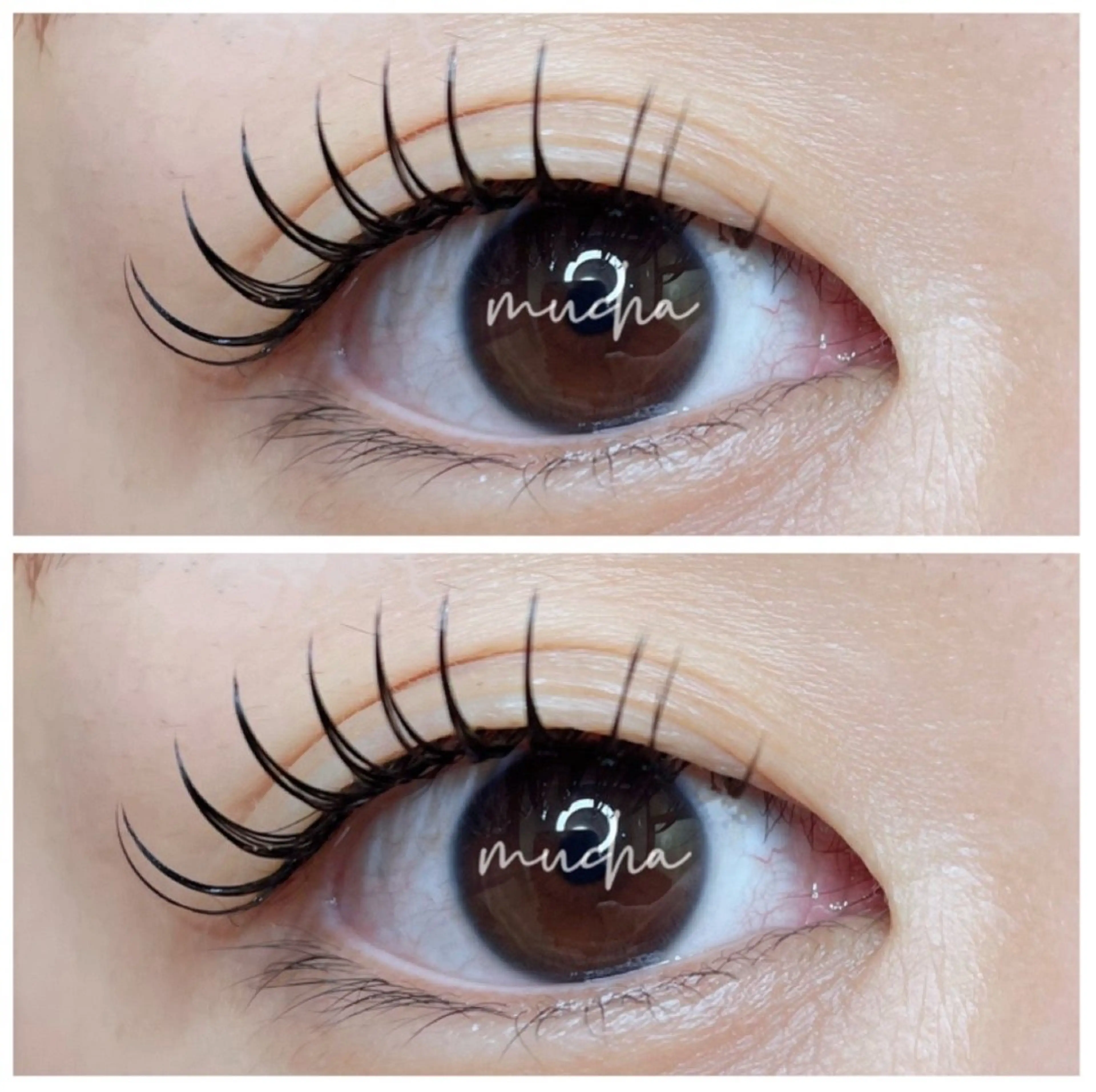 マツエク・マツパ Dカール フラットラッシュ マツエク eyelash muchaのマツエク・マツパデザイン