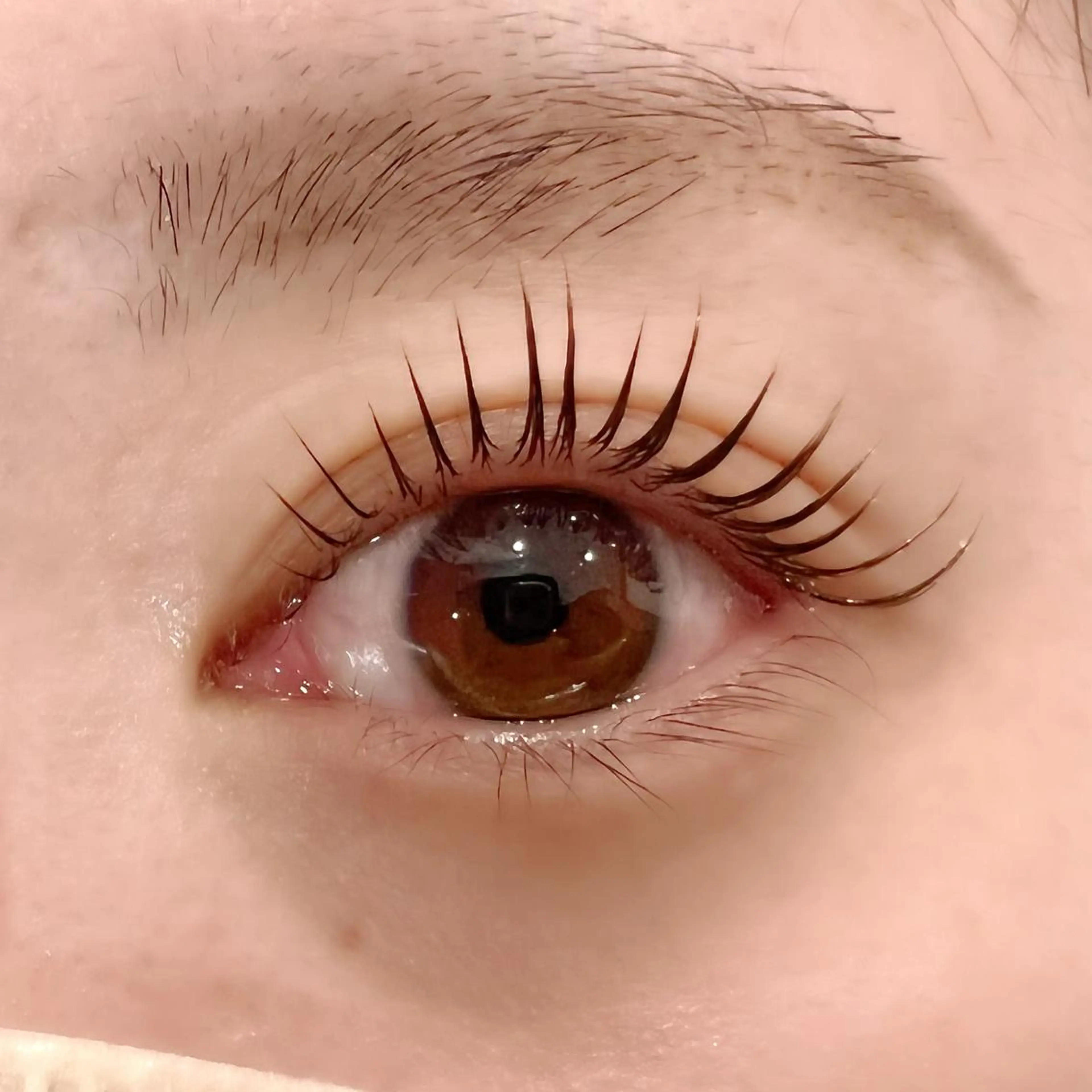 マツエク・マツパ 🧸Celeste Venusのマツエク・マツパデザイン