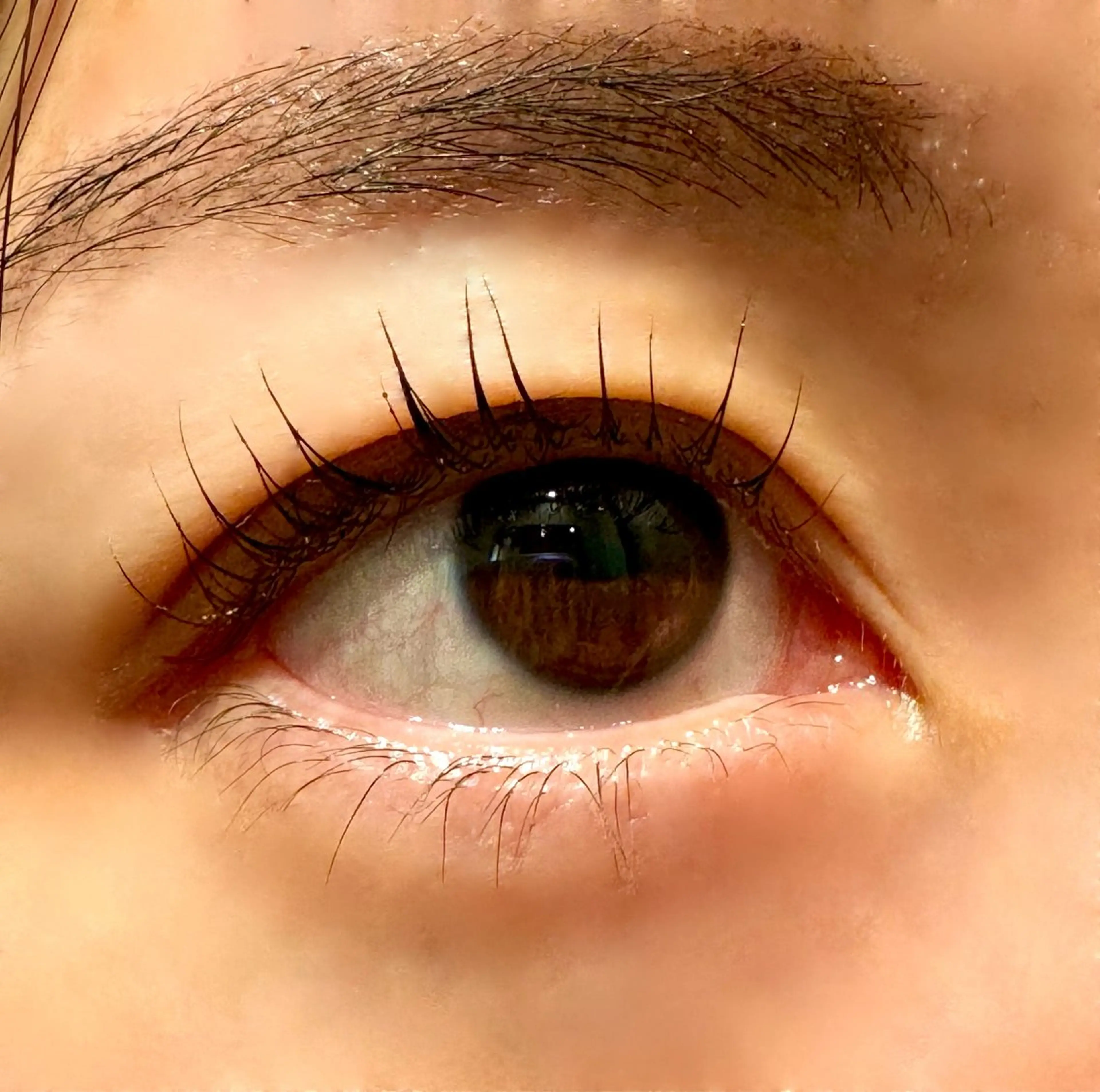 マツエク・マツパ Hau’oli所属・Hau’oli Hirayamaの眉毛・アイブロウイメージ