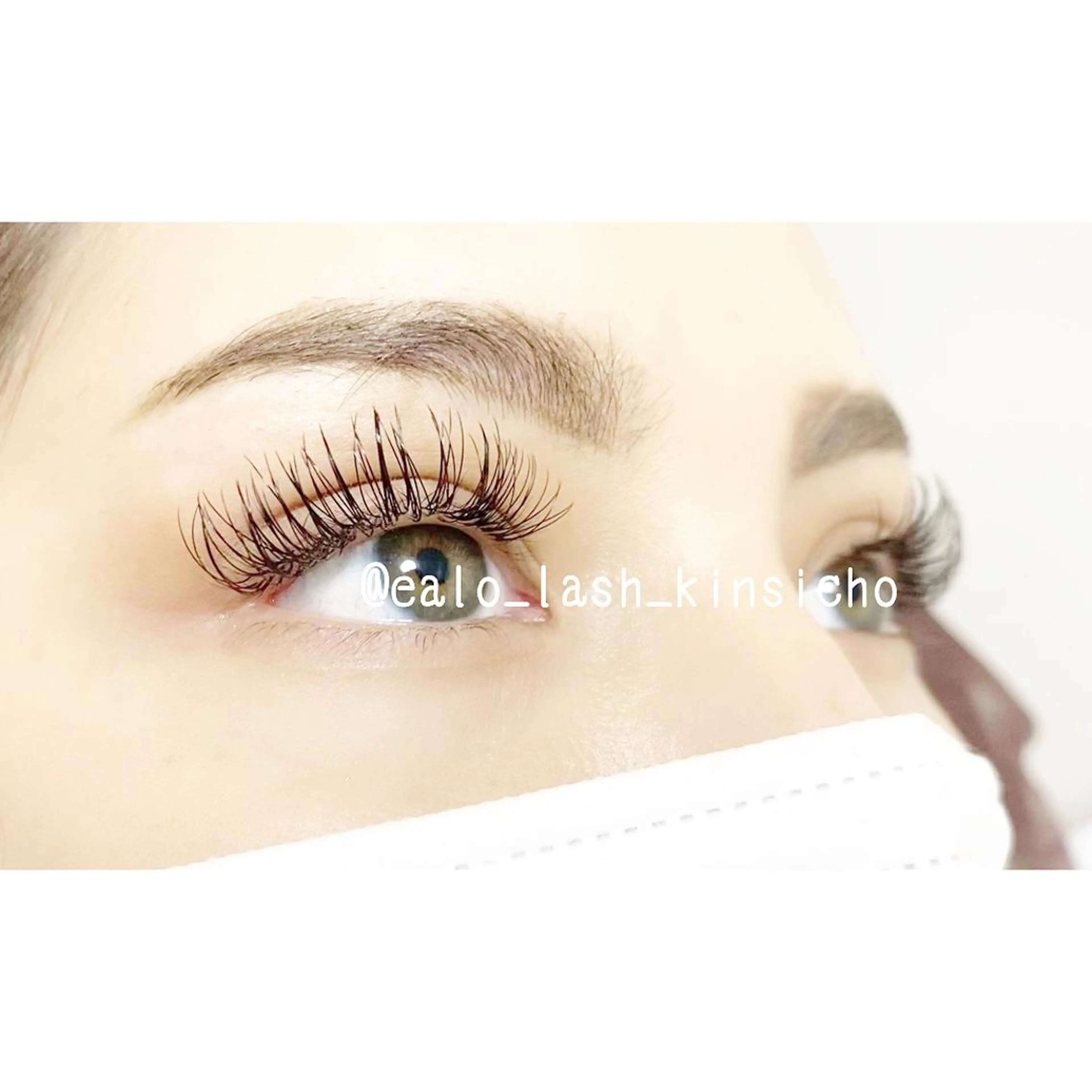 最高級セーブル200本の写真