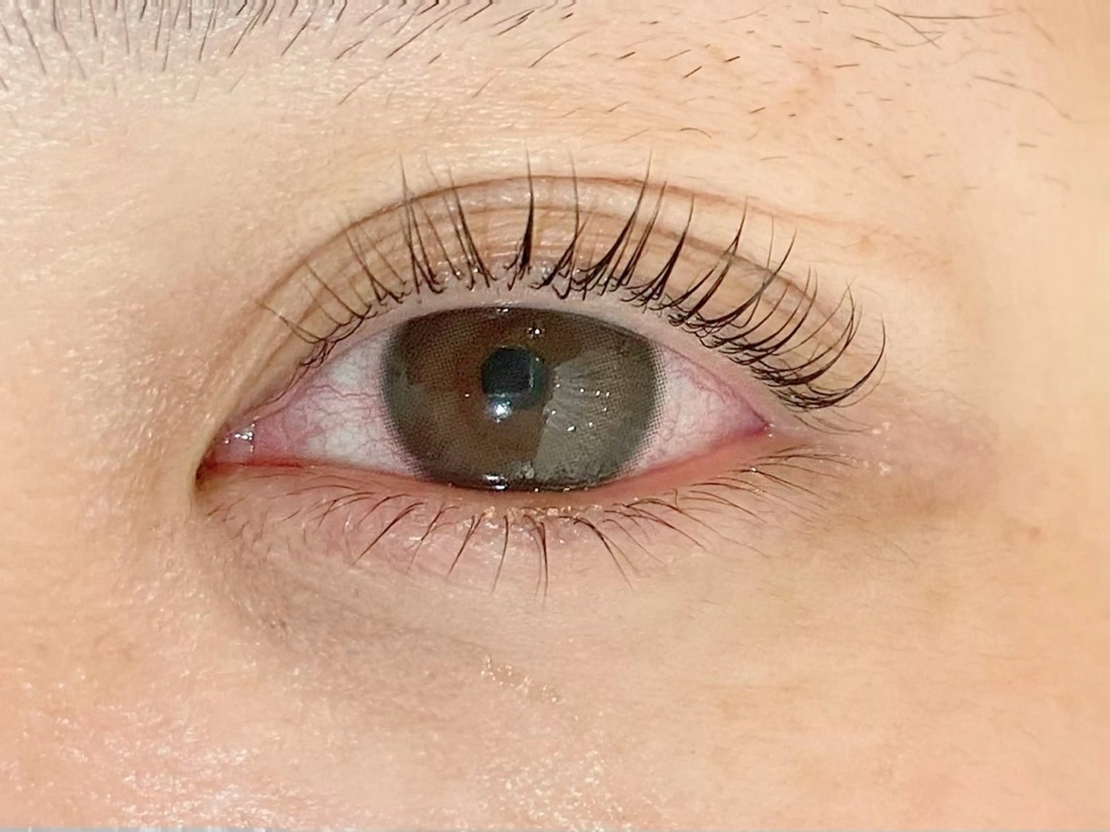 マツエク・マツパ KIMOTO 🐈‍⬛🤍のマツエク・マツパデザイン