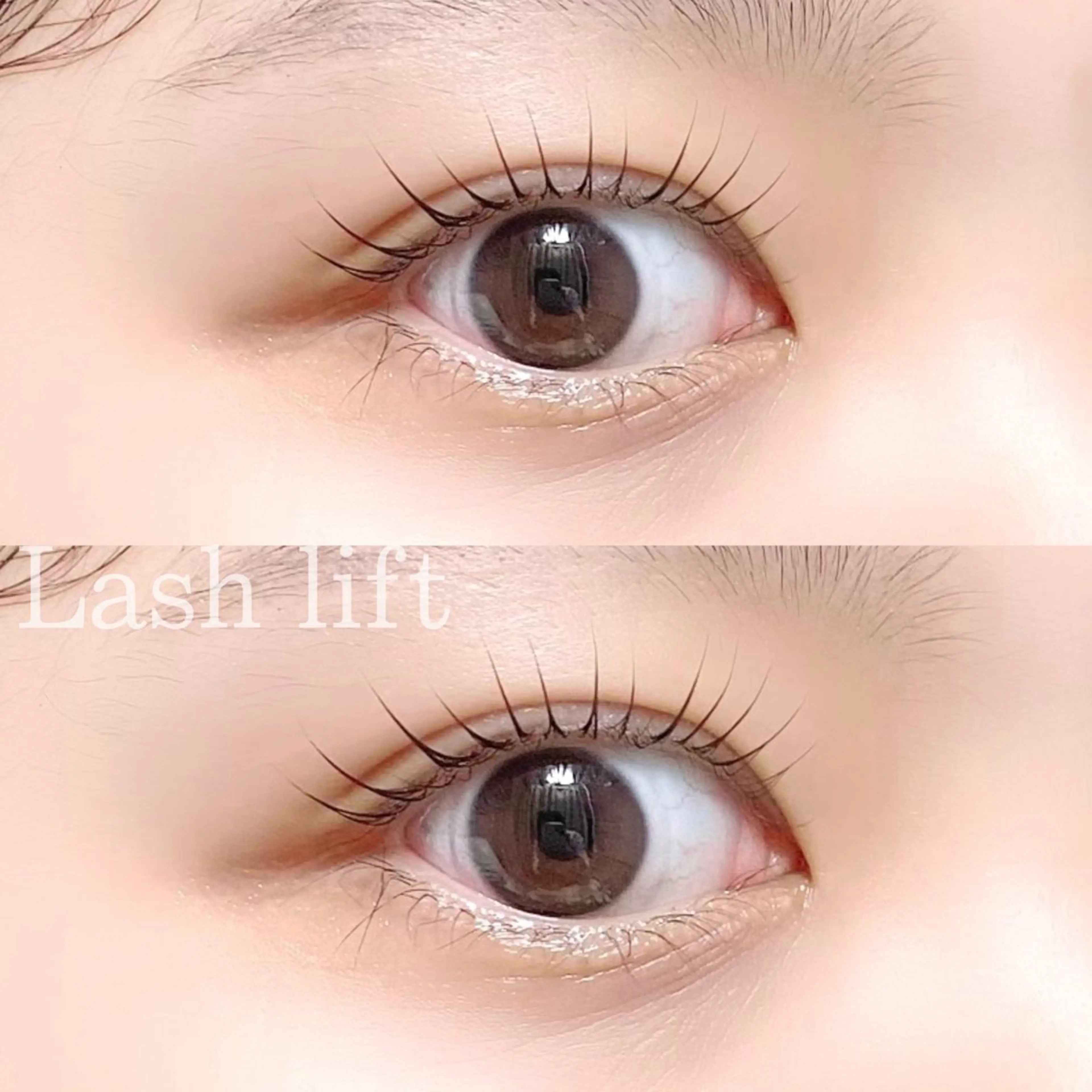 マツエク・マツパ eyelashsalon "Koa"所属・eyelash "Koa"🕊🤎のマツエク・マツパデザイン