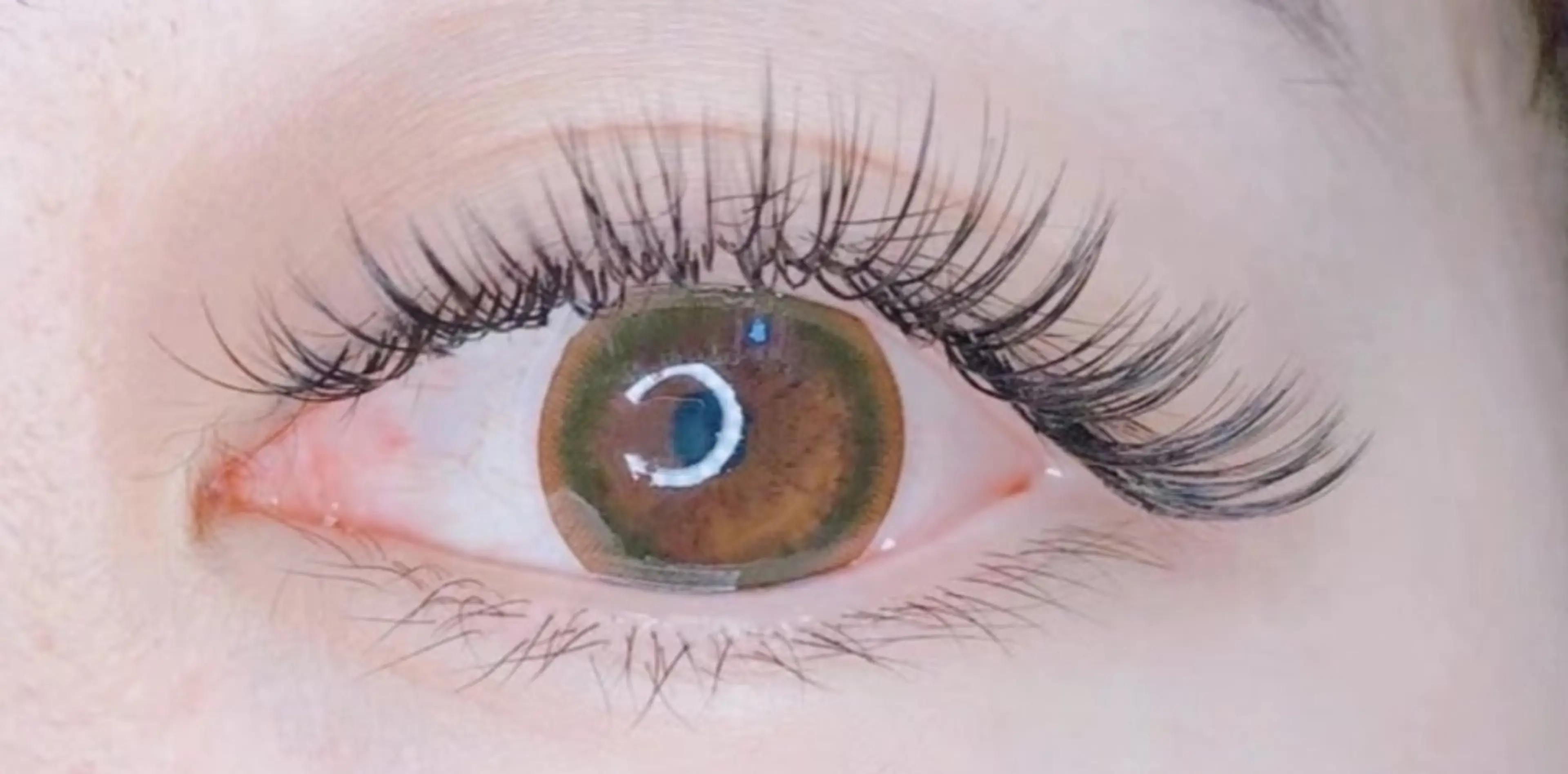 マツエク・マツパ マツエク SUN WENのマツエク・マツパデザイン