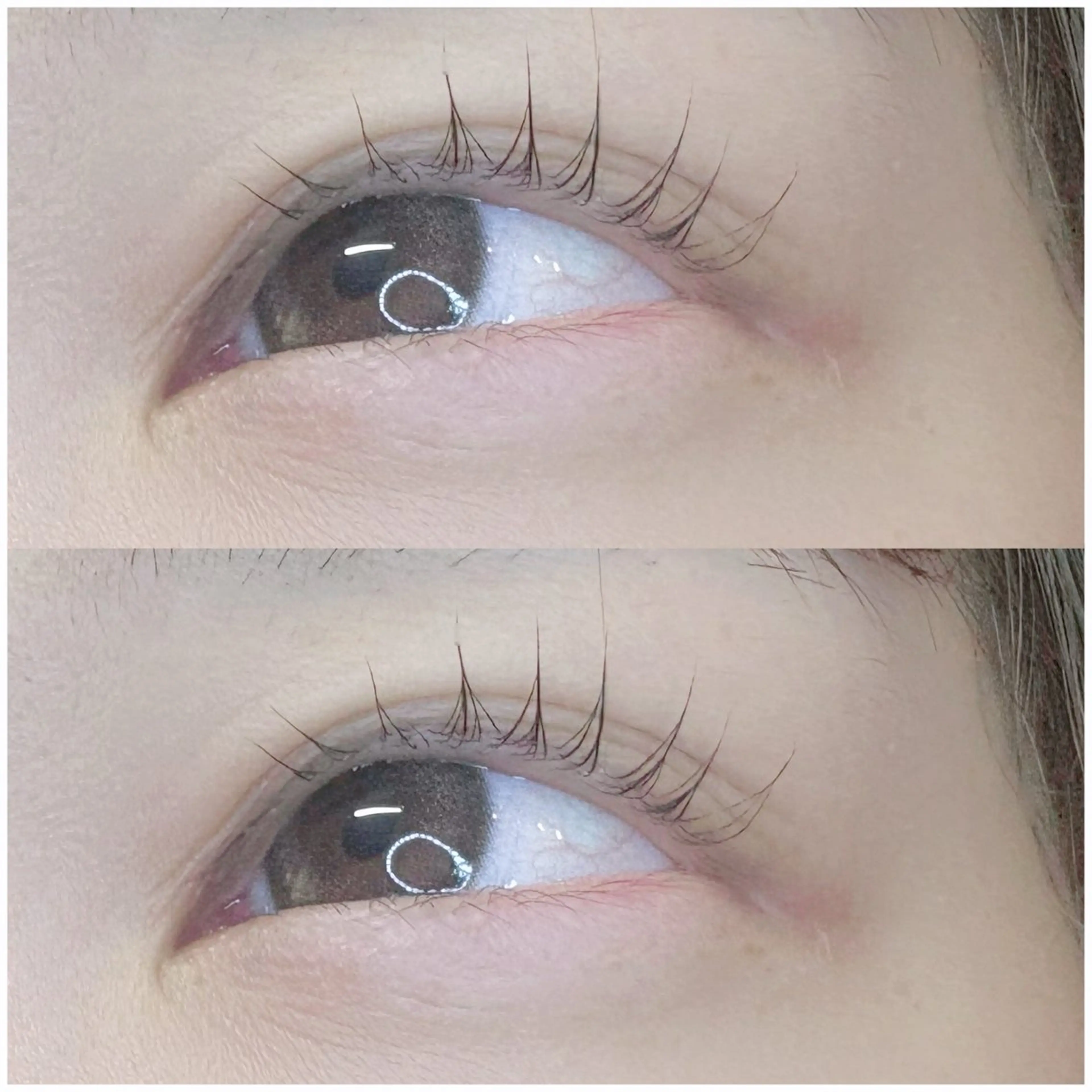 マツエク・マツパ Blanc 莉桜のマツエク・マツパデザイン