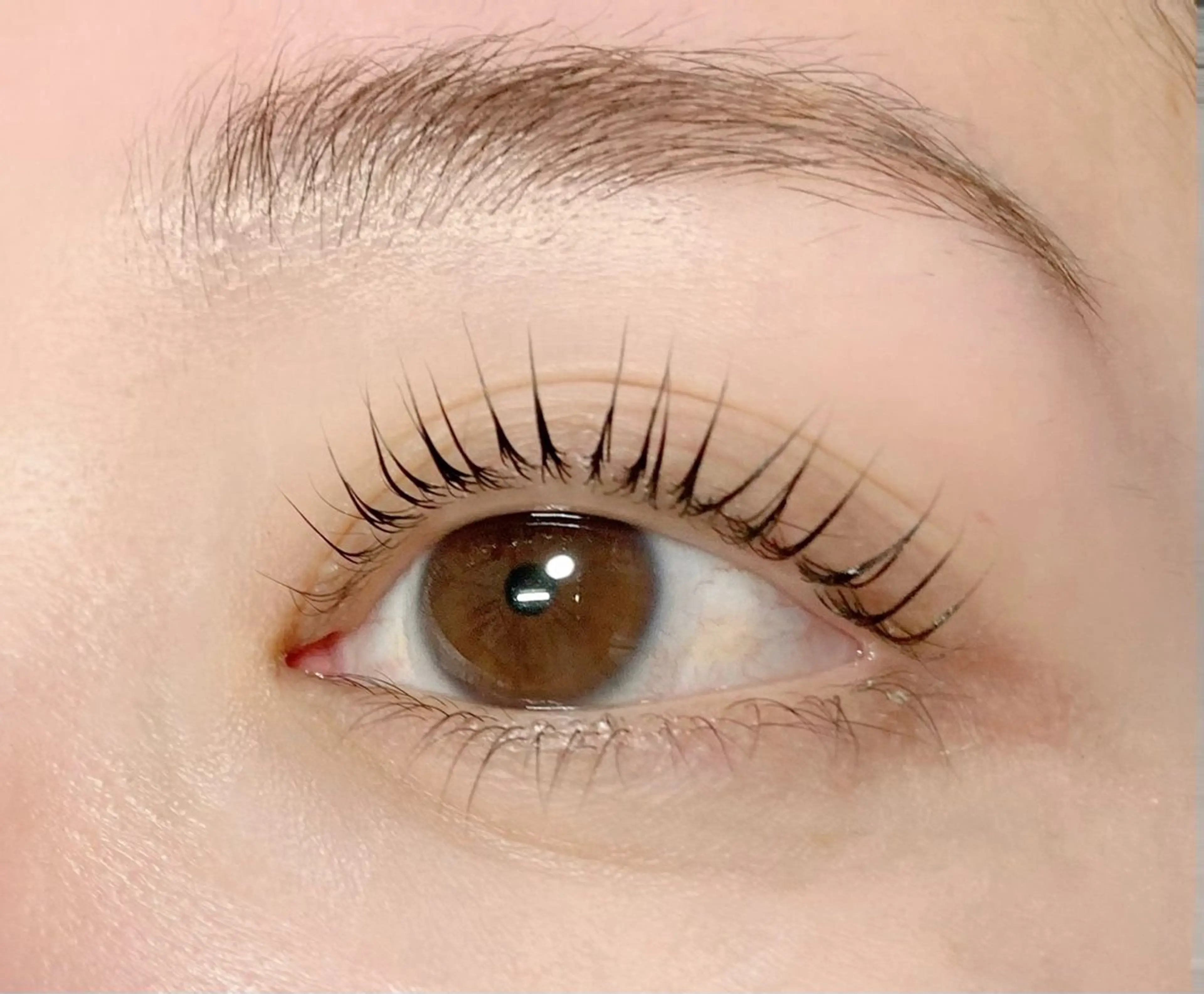 マツエク・マツパ Amira/アミーラ YU-KA🤍のマツエク・マツパデザイン