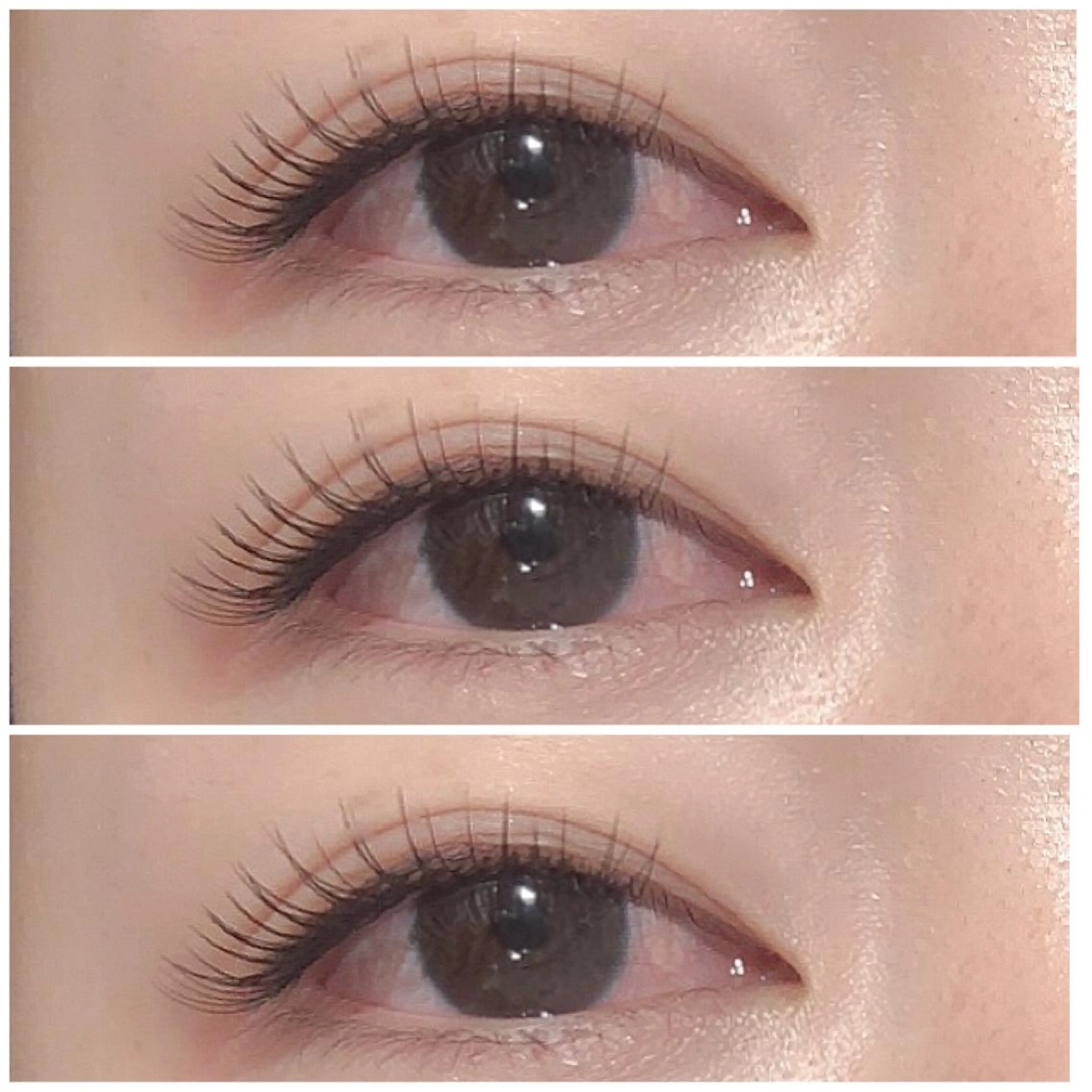 ãããšã¯ã»ããã ãããšã¯ ð¯ Miyakið¯ã®ãããšã¯ã»ããããã¶ã€ã³