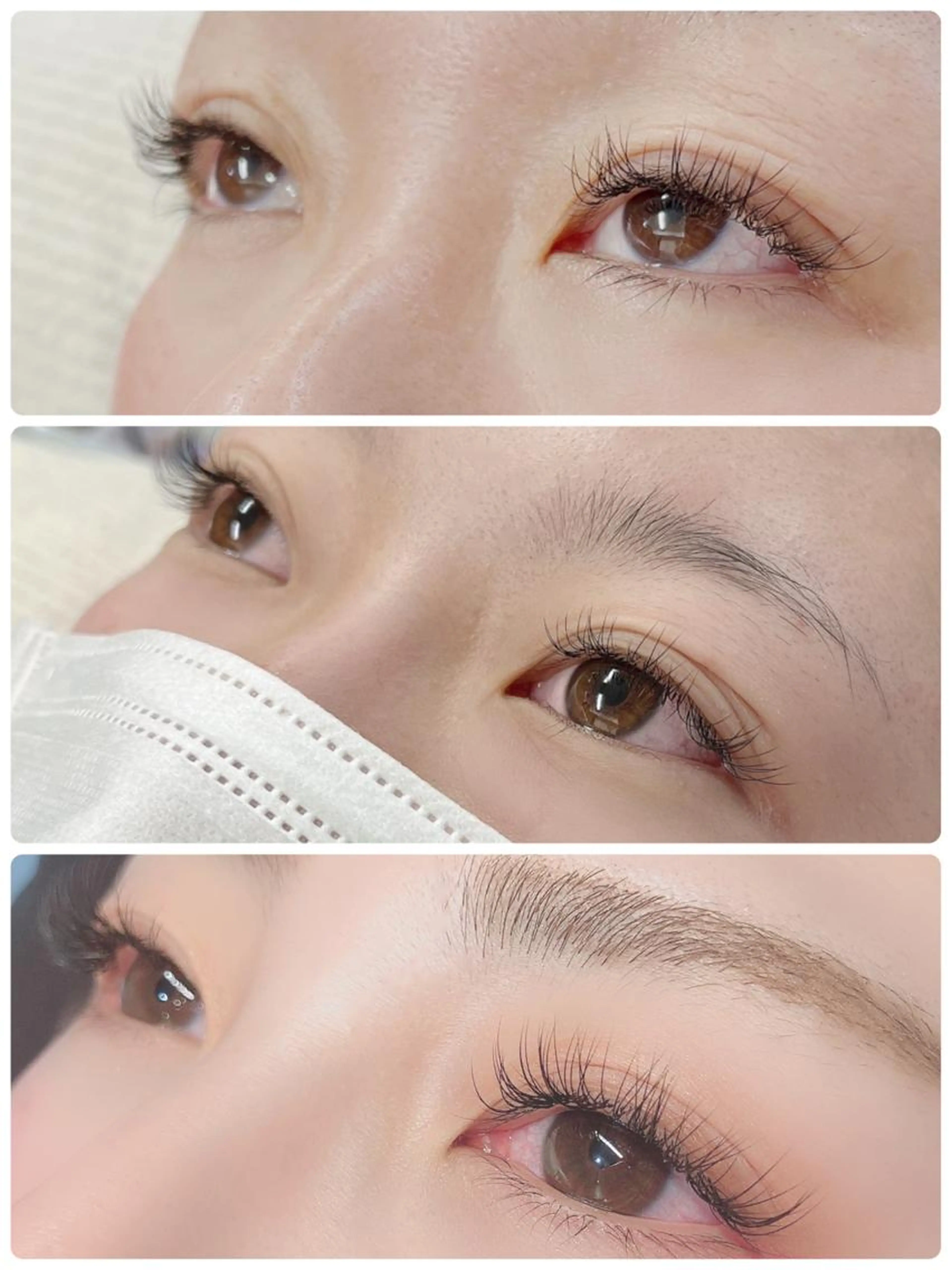 フラットラッシュ120本の写真