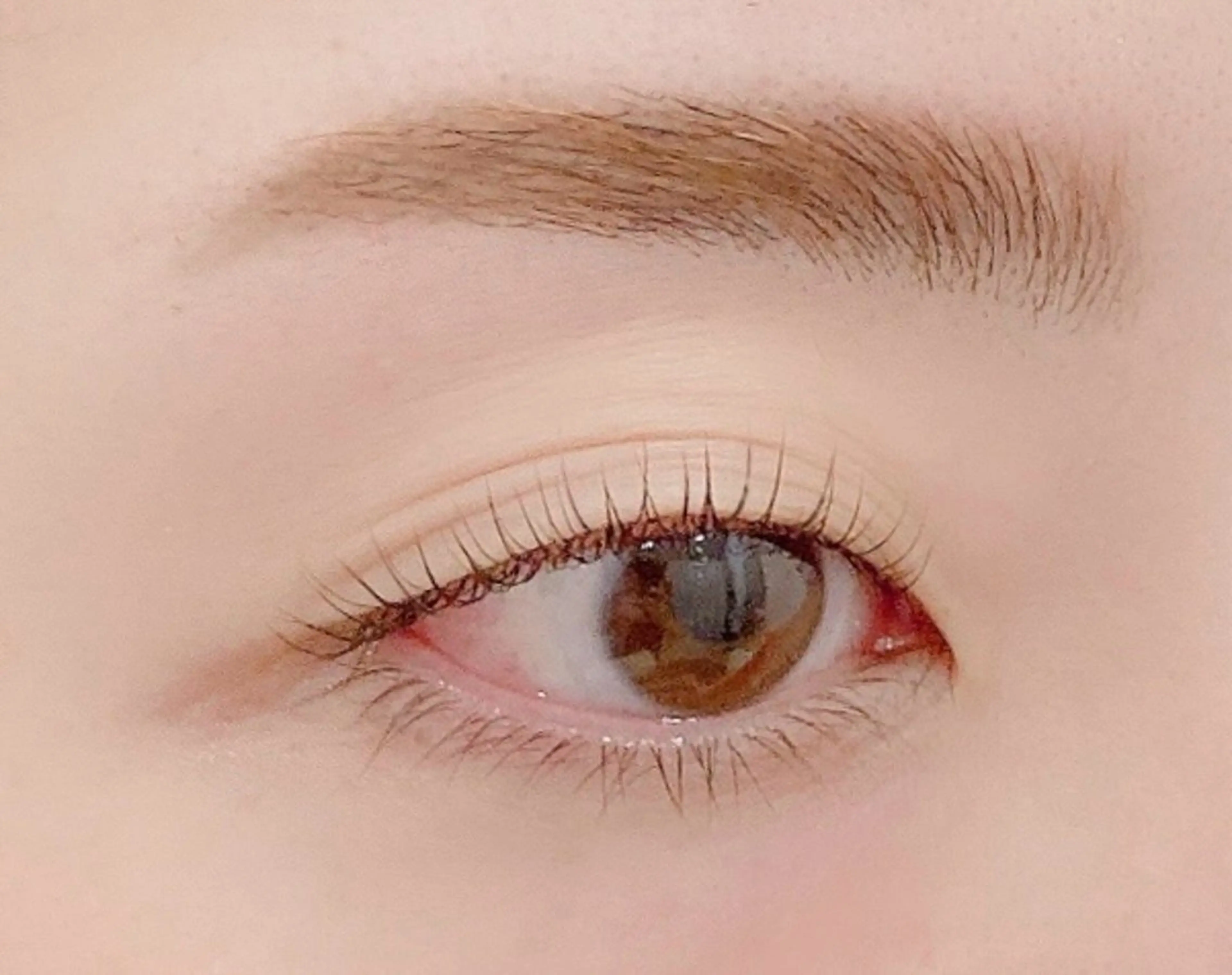 ご新規様【眉毛パーマ】眉毛パーマ＋眉毛wax＋仕上げメイク込みの写真