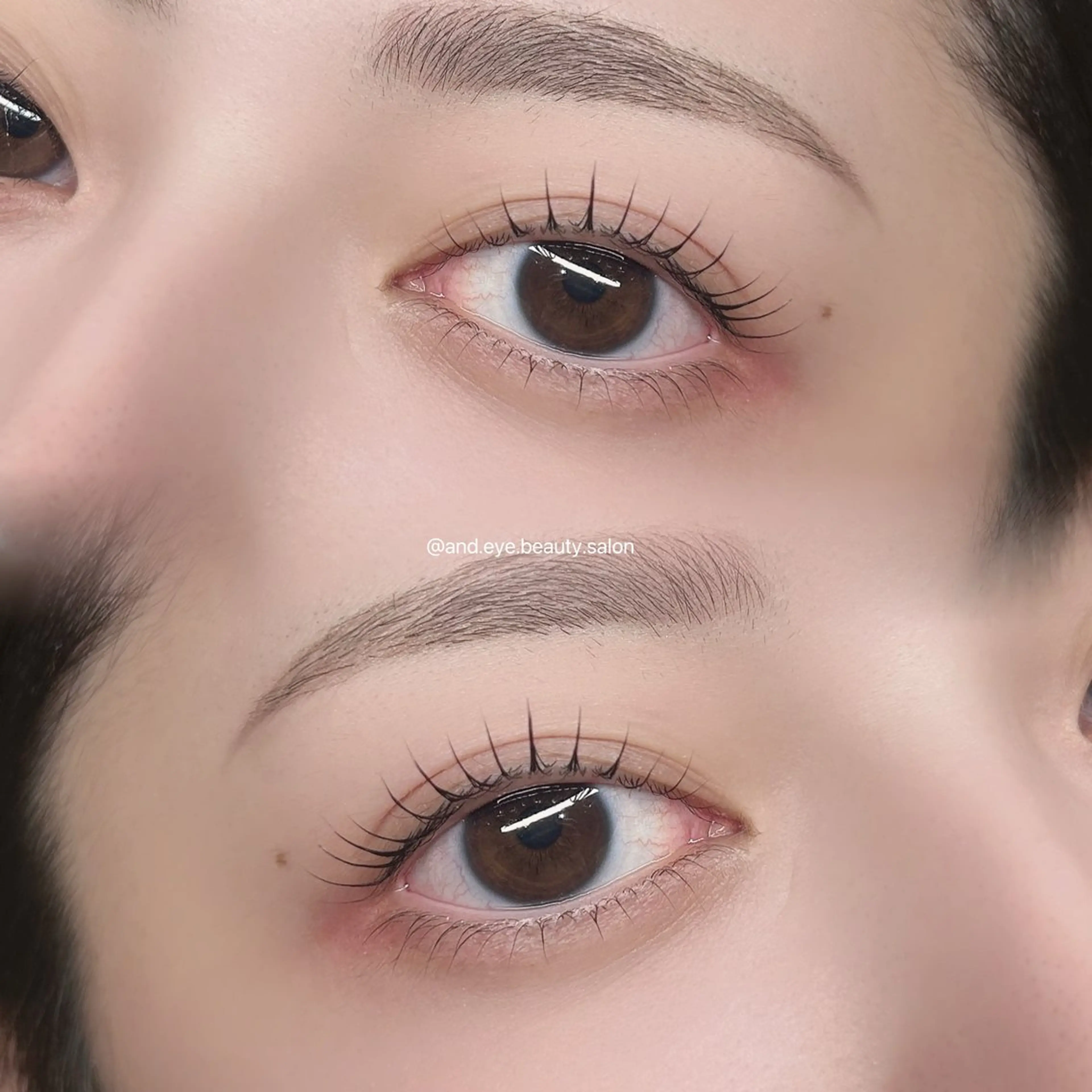 ã»ããã¡ãã¥ãŒððãŸã€æ¯ããŒãÃ çæ¯WAXã®åç