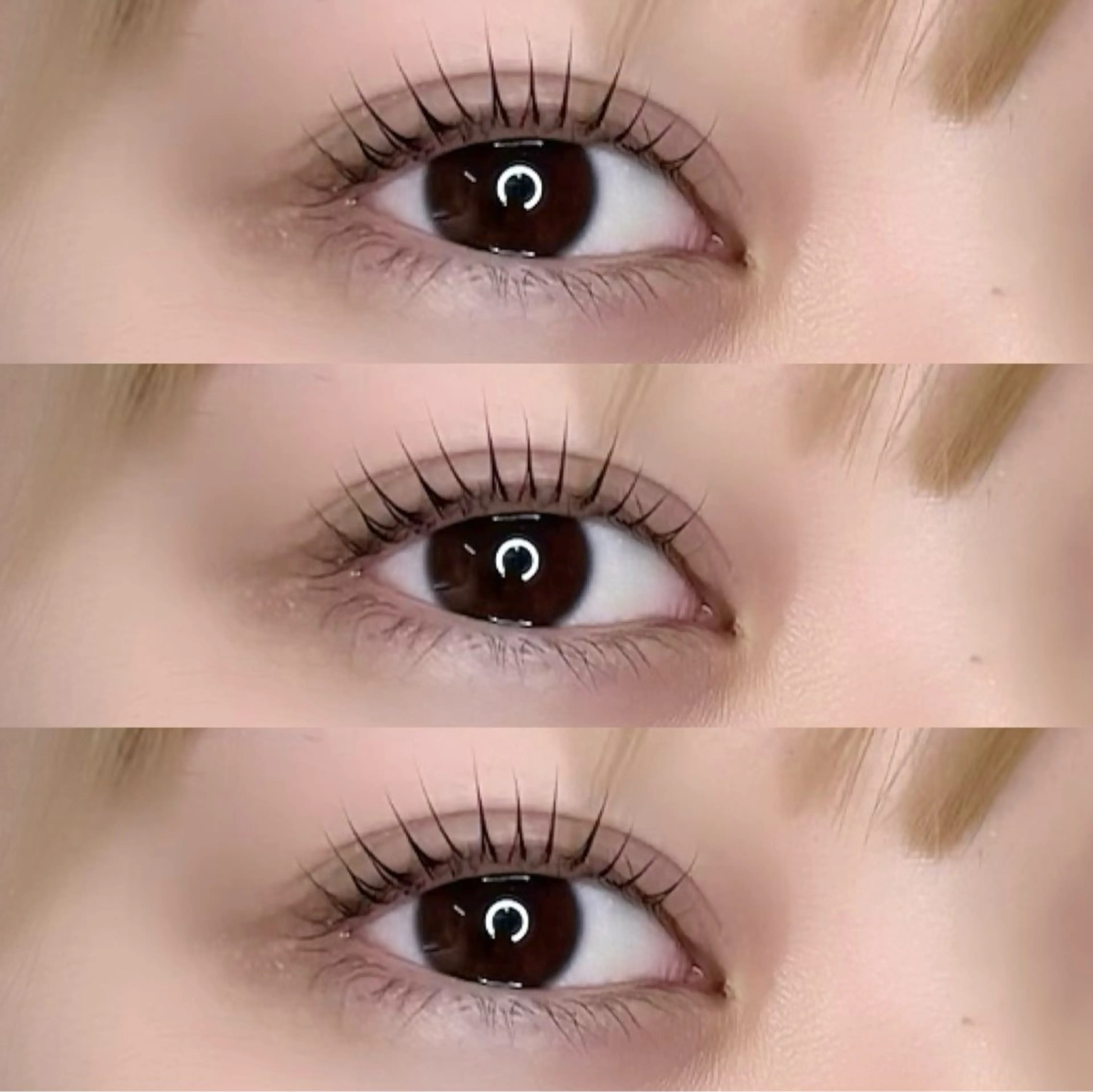 《🎀𝒎𝒊𝒏𝒊𝒎𝒐限定🎀》パリジェンヌの写真