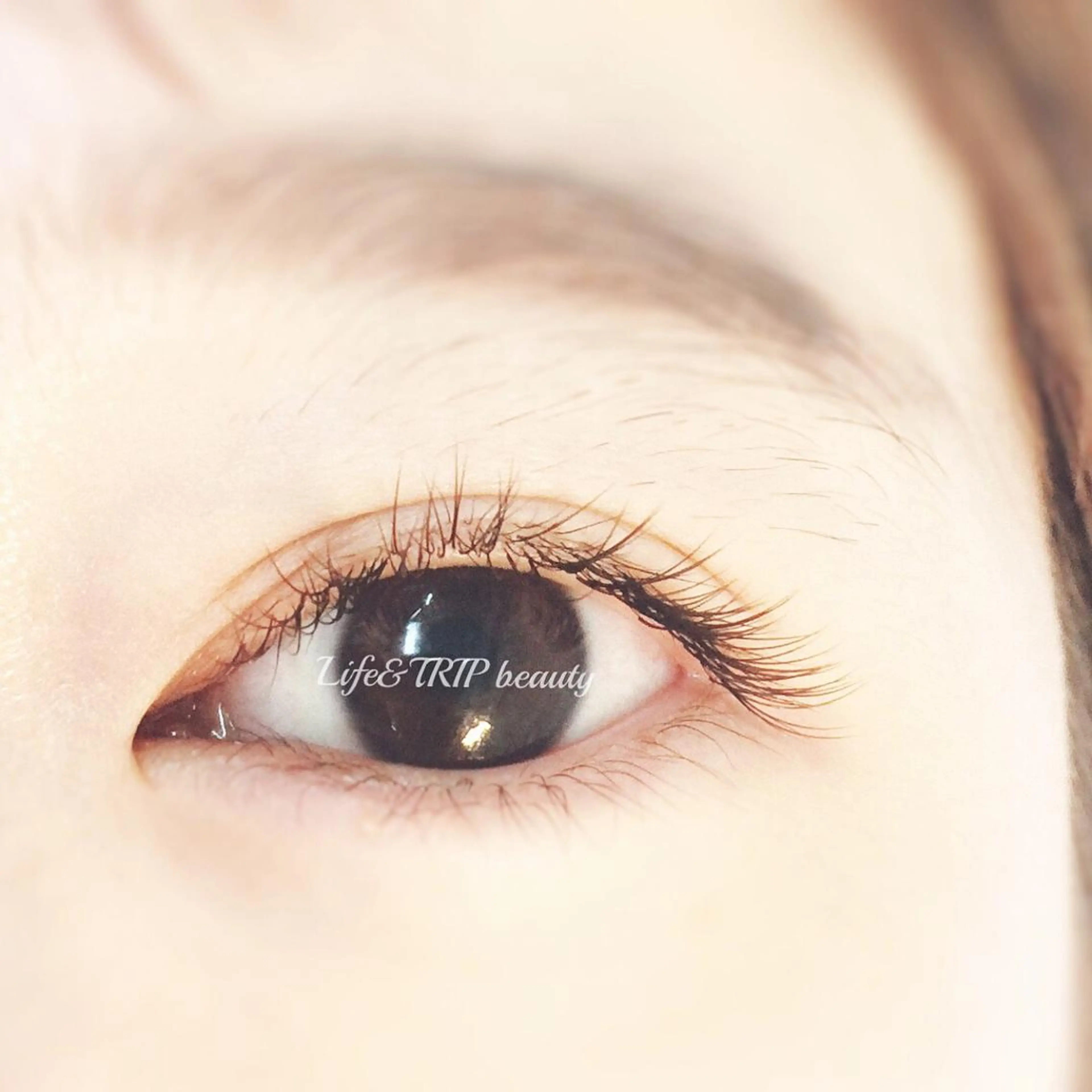 マツエク・マツパ カラーマツエク マツエク Life&TRIP beautyのマツエク・マツパデザイン