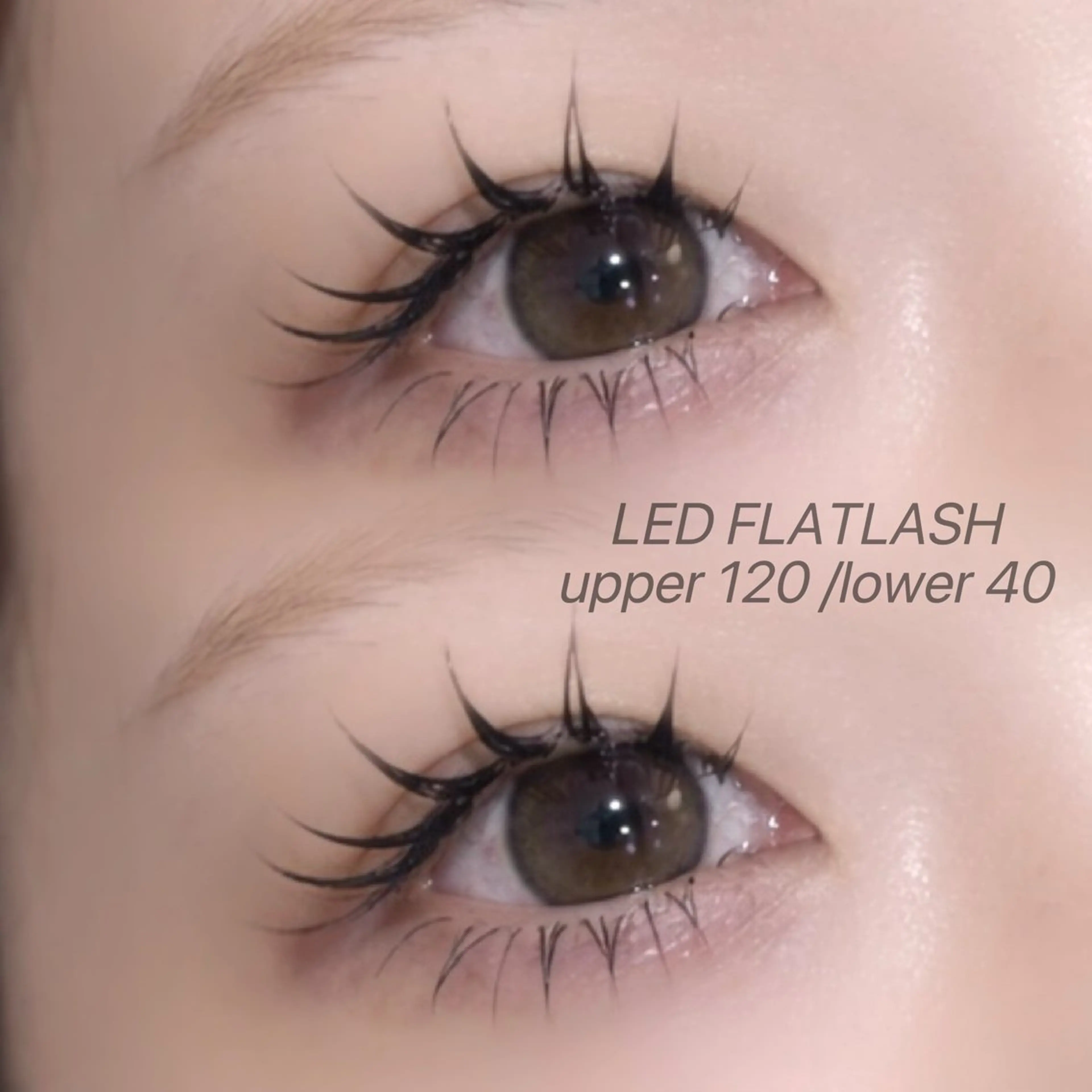 上下LEDフラットラッシュ💘上140本＋下50本              ꒰ 新規10500円/再来11500円꒱の写真