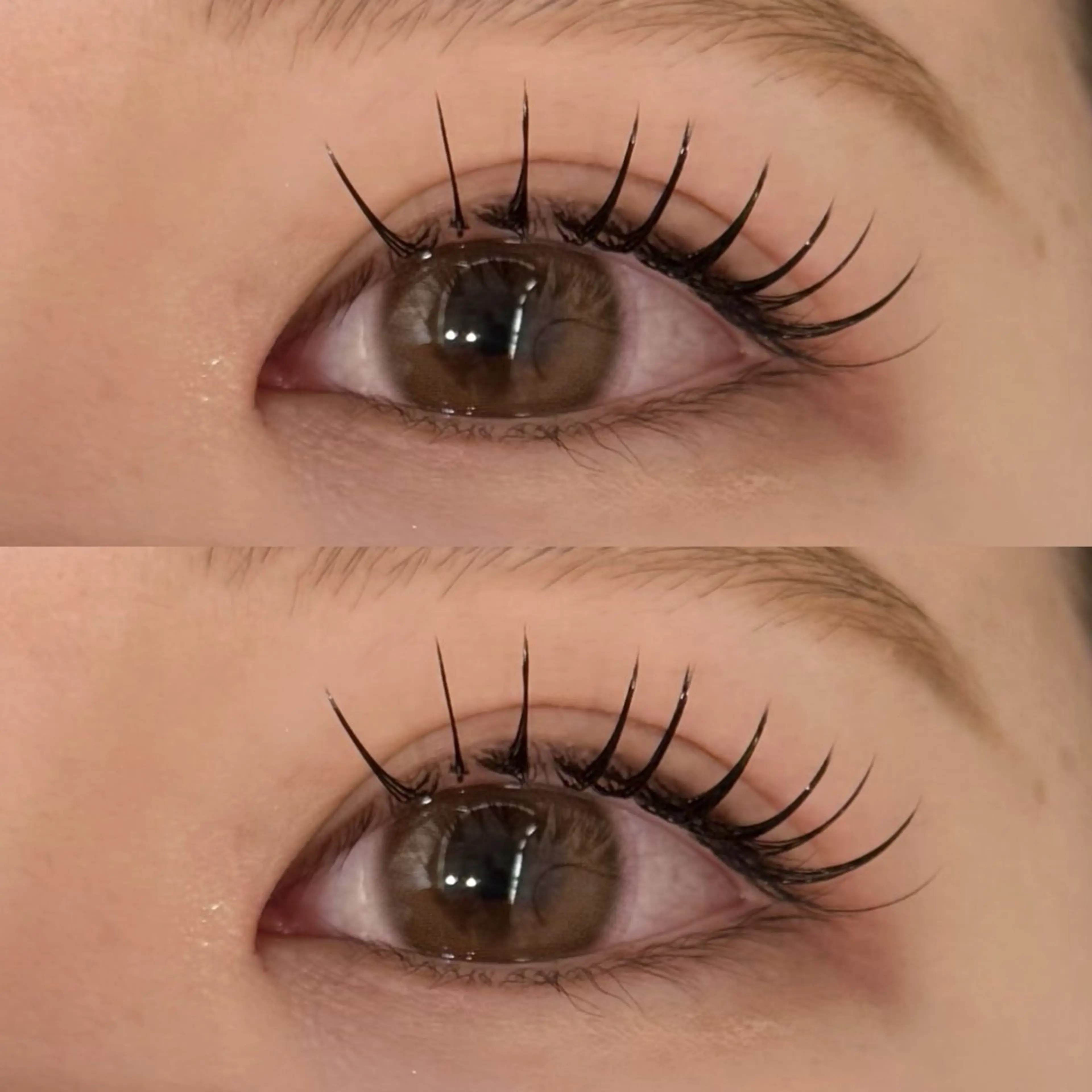 💫オフあり💫高持続LEDフラットラッシュ120本🫧の写真