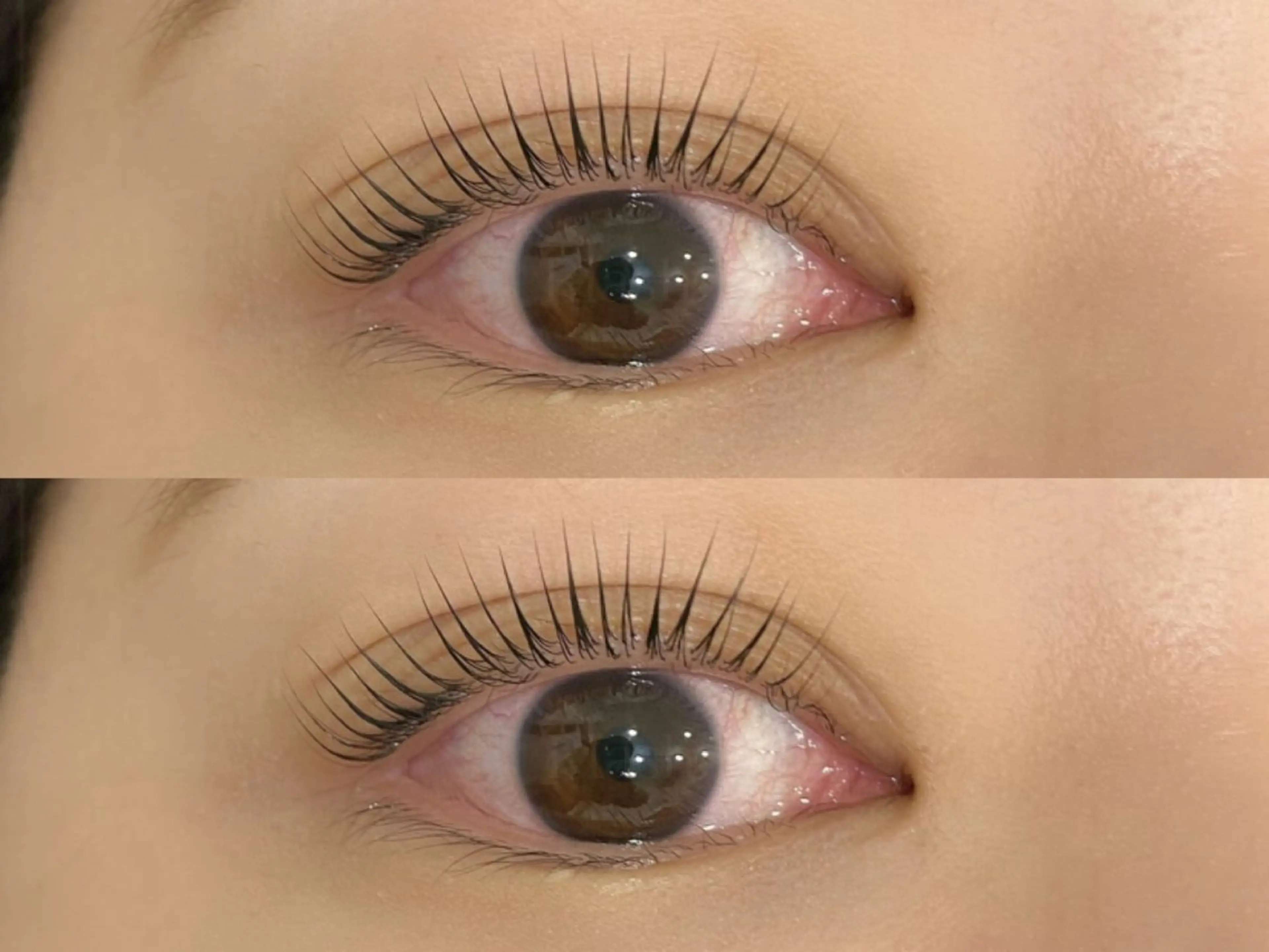 パリジェンヌラッシュリフト （アイパック＋TR＋コーティング仕上げෆ）の写真