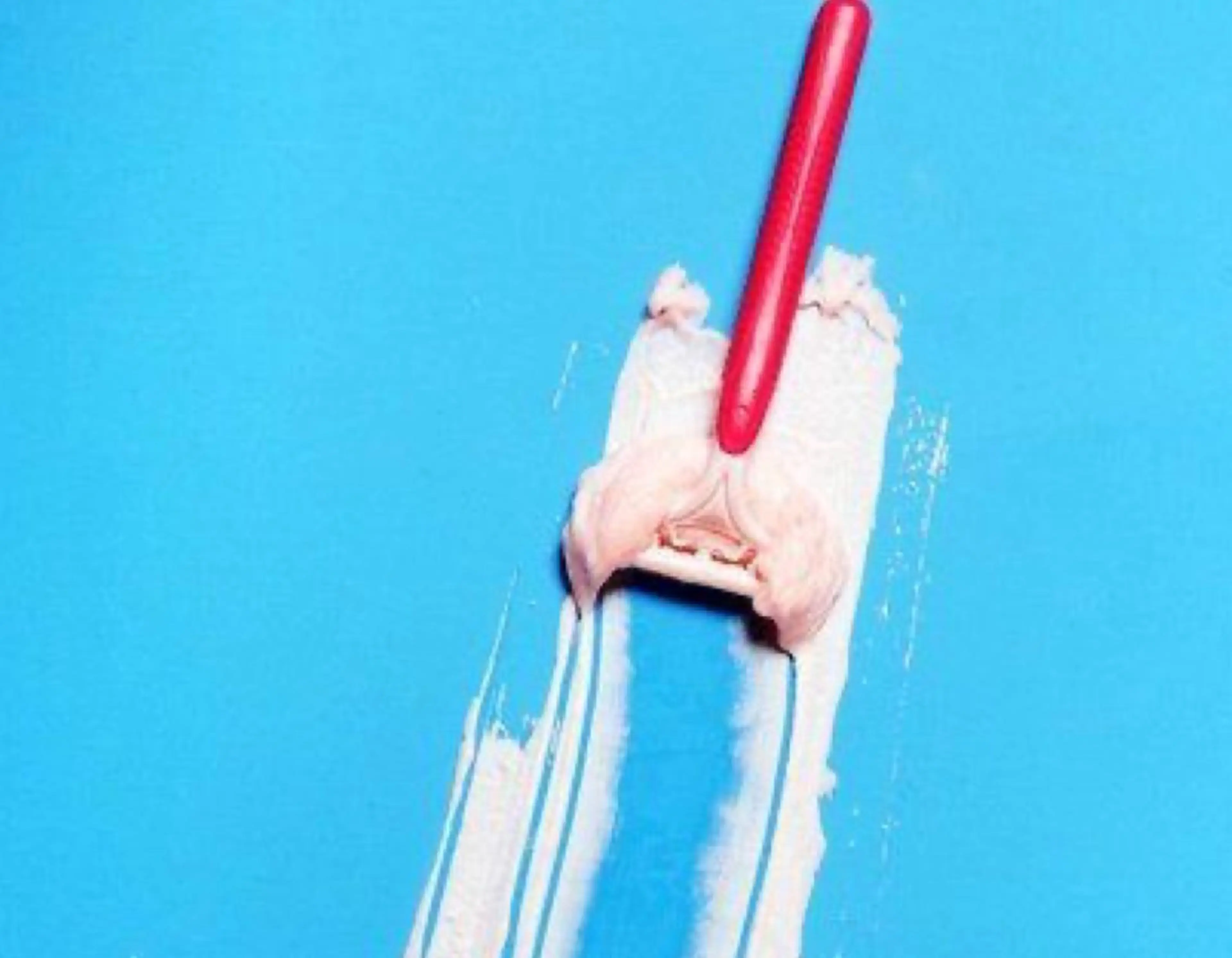 アロマとWAXのお店 Lei 緑橋 Ariのエステ・リラクイメージ