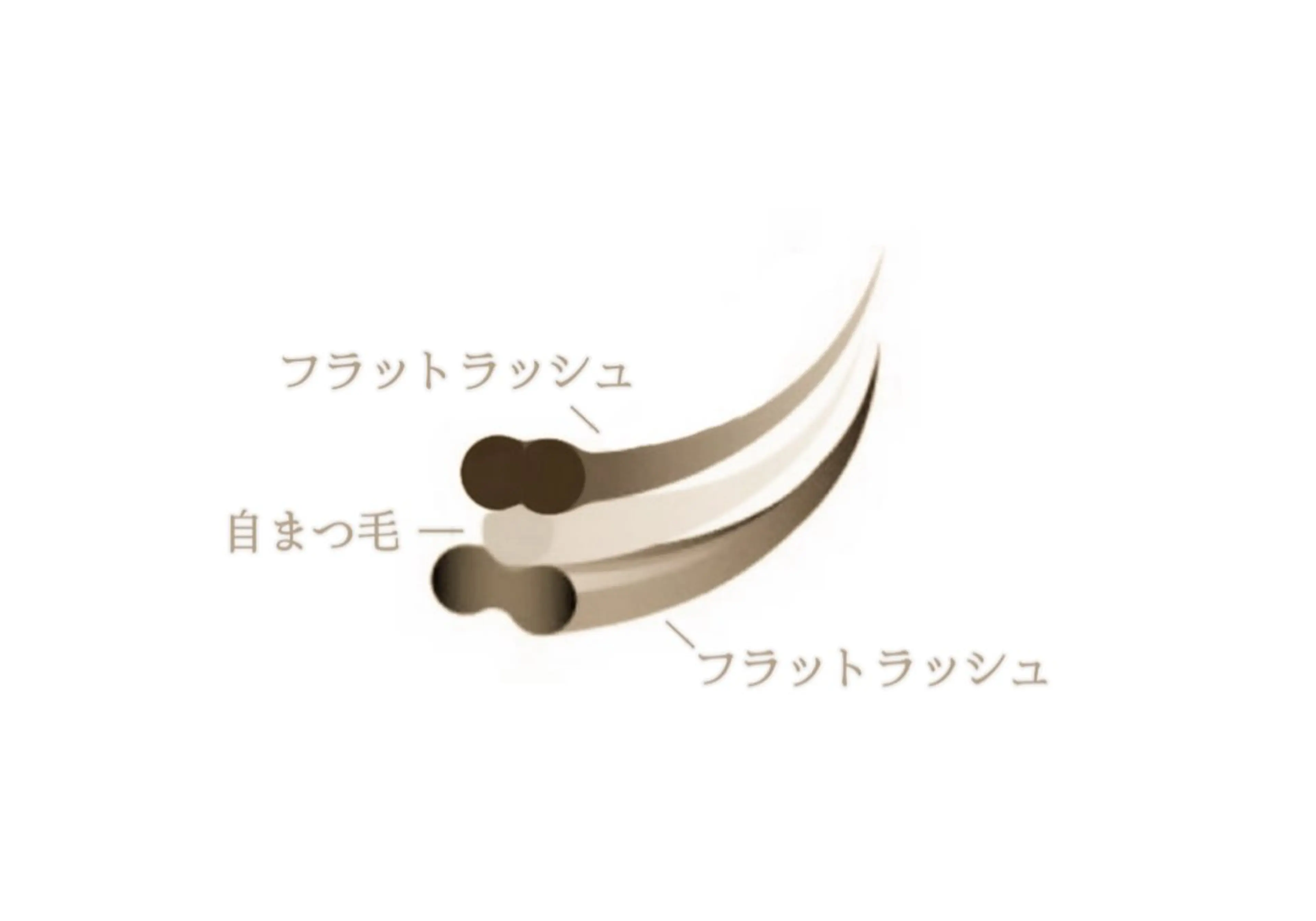 マツエク・マツパ フラットラッシュ マツエク Y.Beauty 池袋のマツエク・マツパデザイン