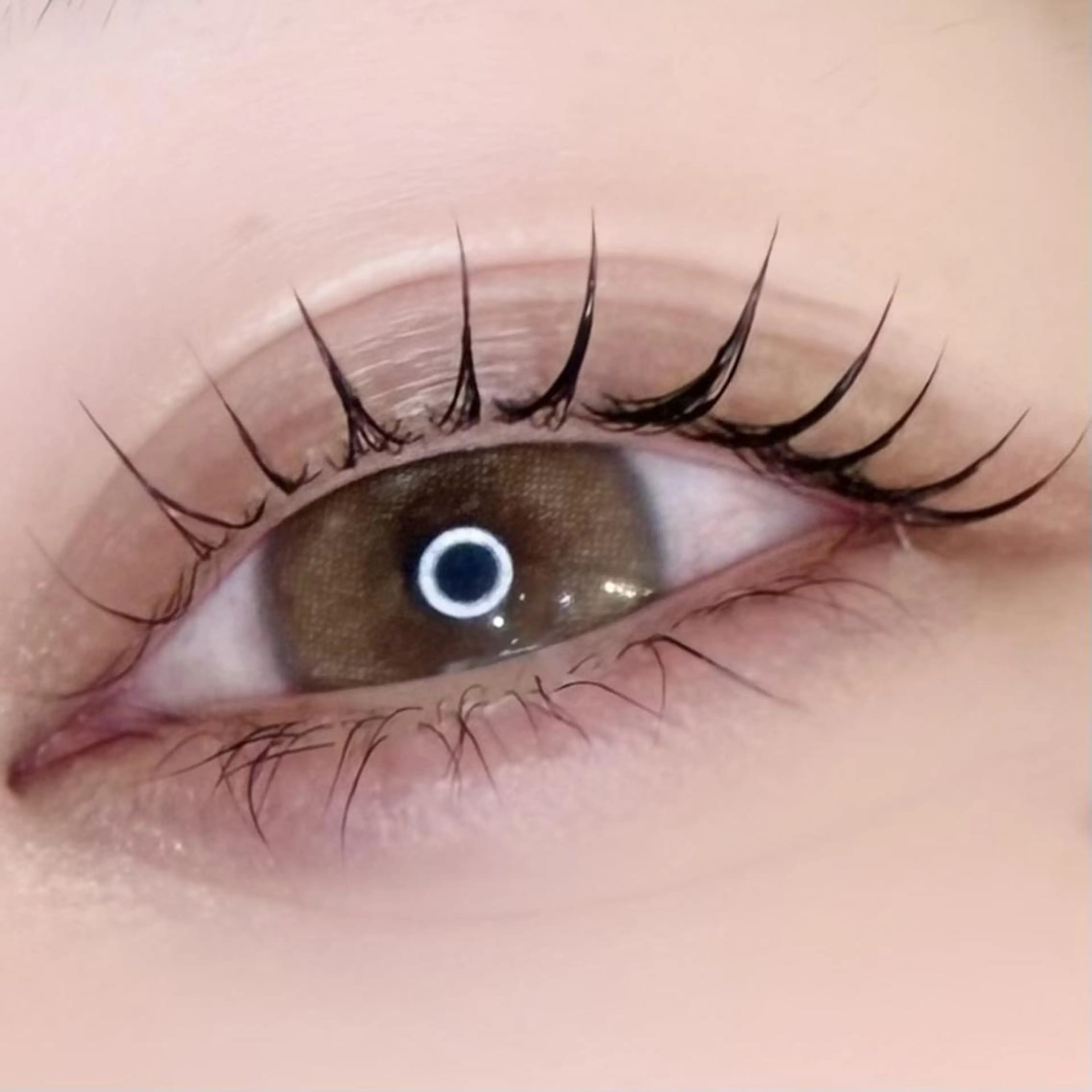 SNS掲載用 まつ毛パーマ《撮影モデル》さん募集📸✨の写真