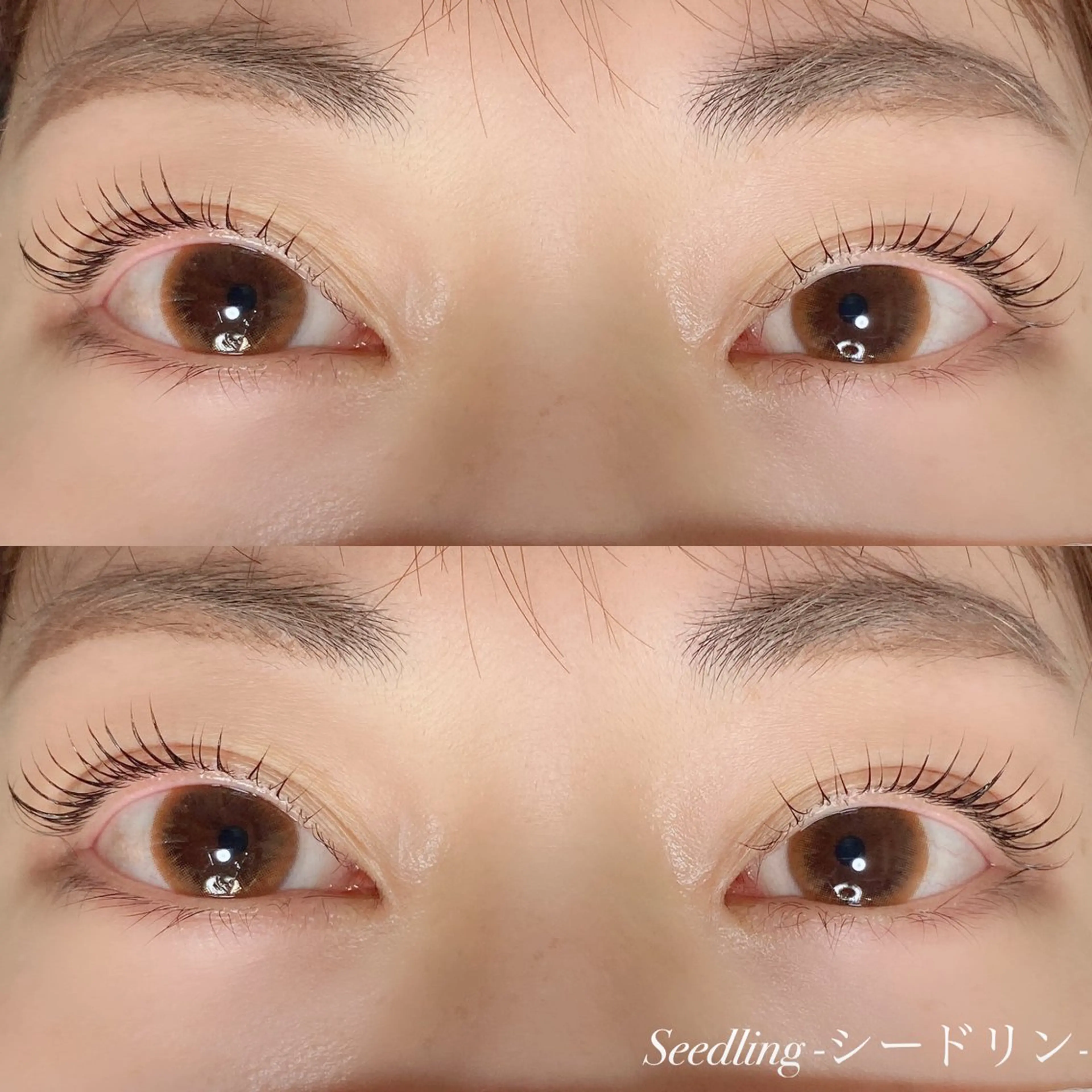 マツエク・マツパ シードリン 府内店 小野梨央のマツエク・マツパデザイン