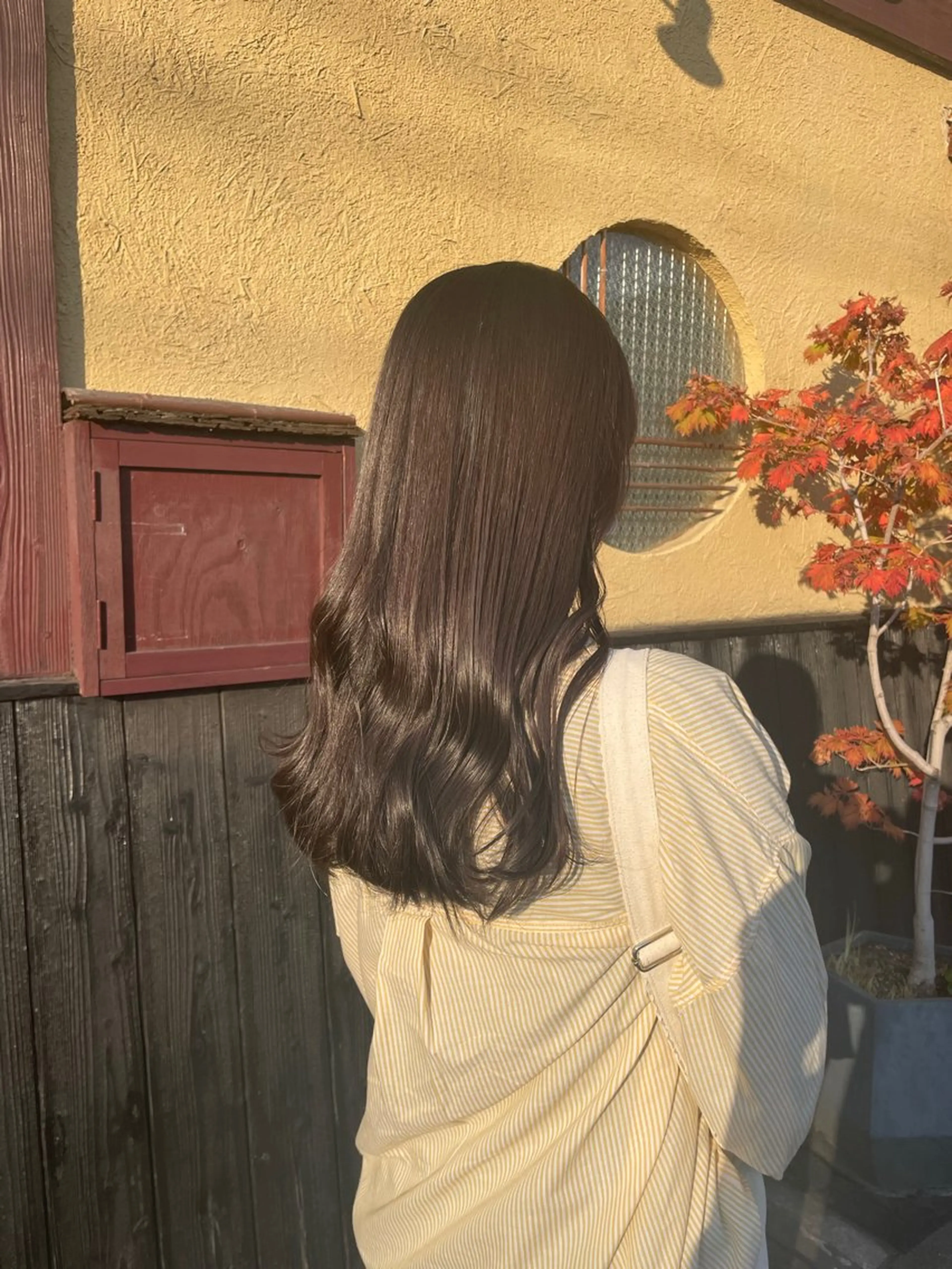 セミロング カラー ブラウンカラー APPEL / fujiiのヘアスタイル