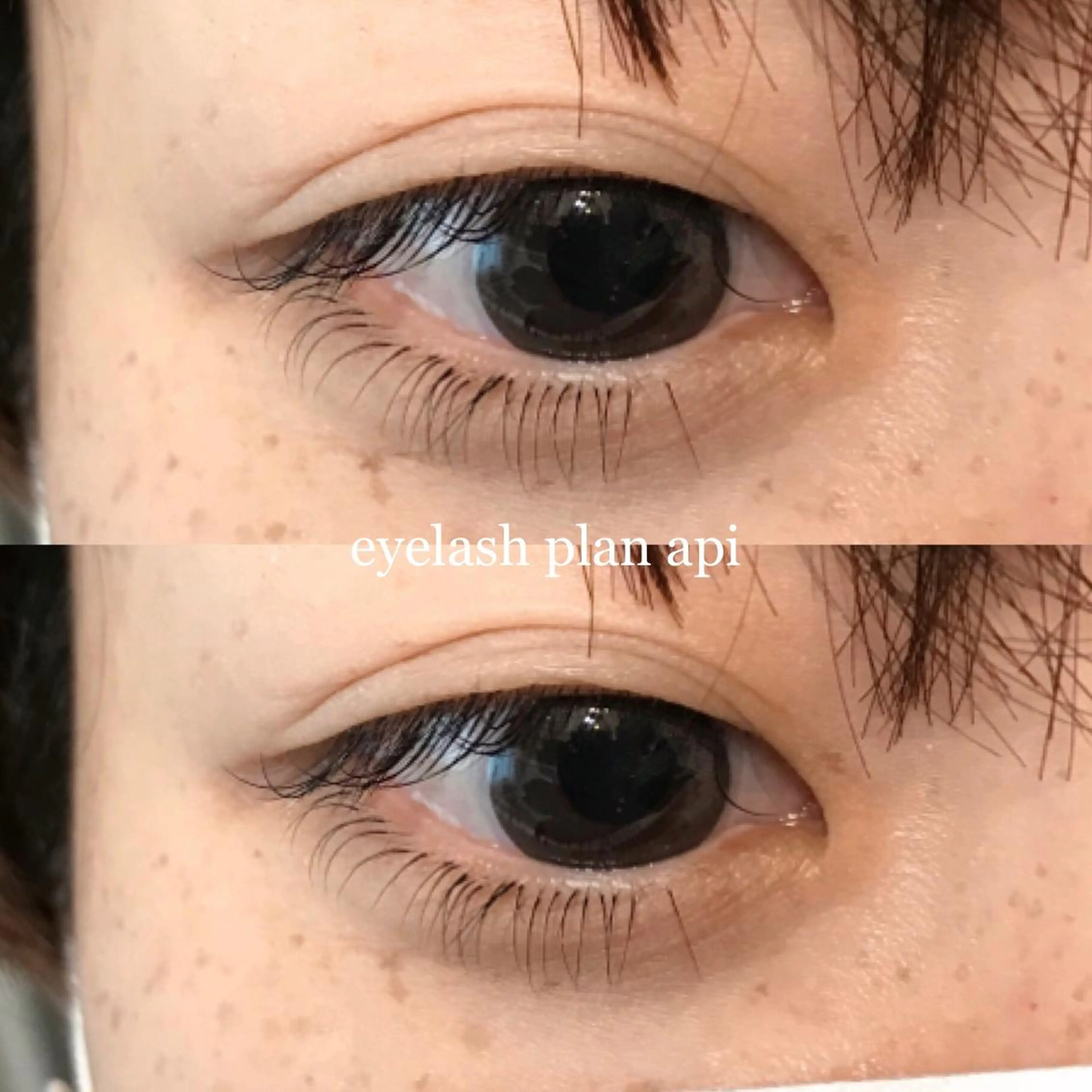 マツエク・マツパ 《eyelash ｉｉｔｅ》森のマツエク・マツパデザイン