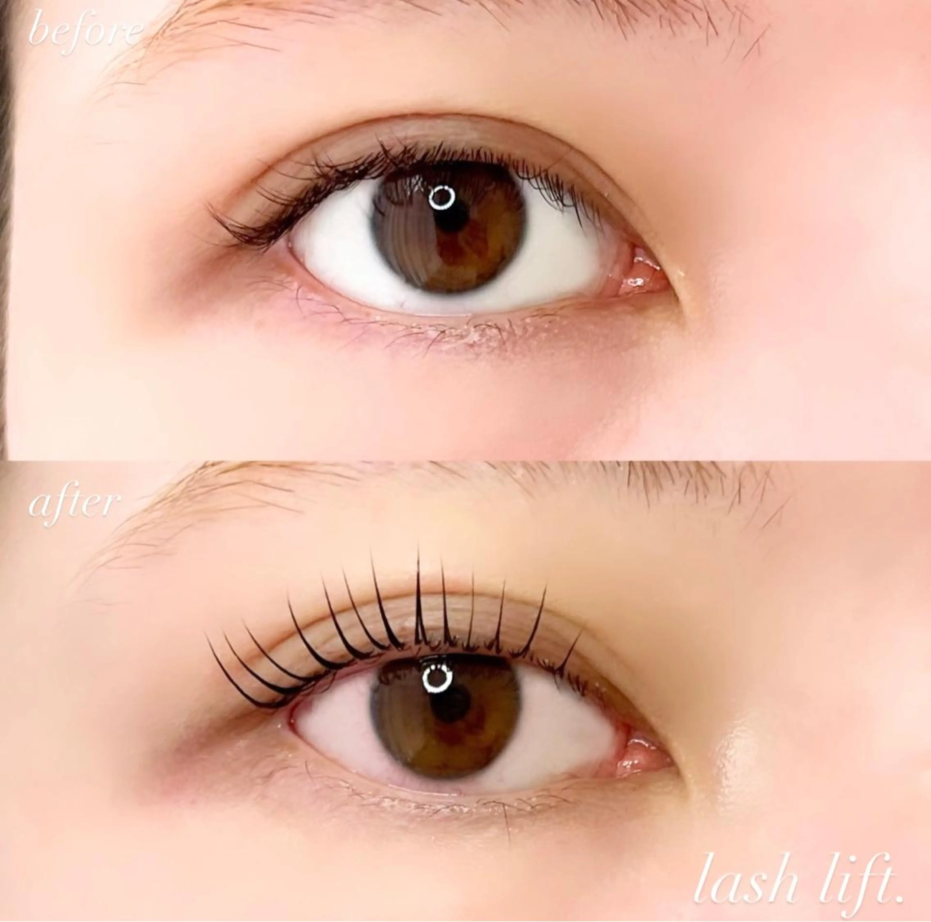 マツエク・マツパ 眉毛/まつ毛/代官山 アイサロン🌻NAEのマツエク・マツパデザイン