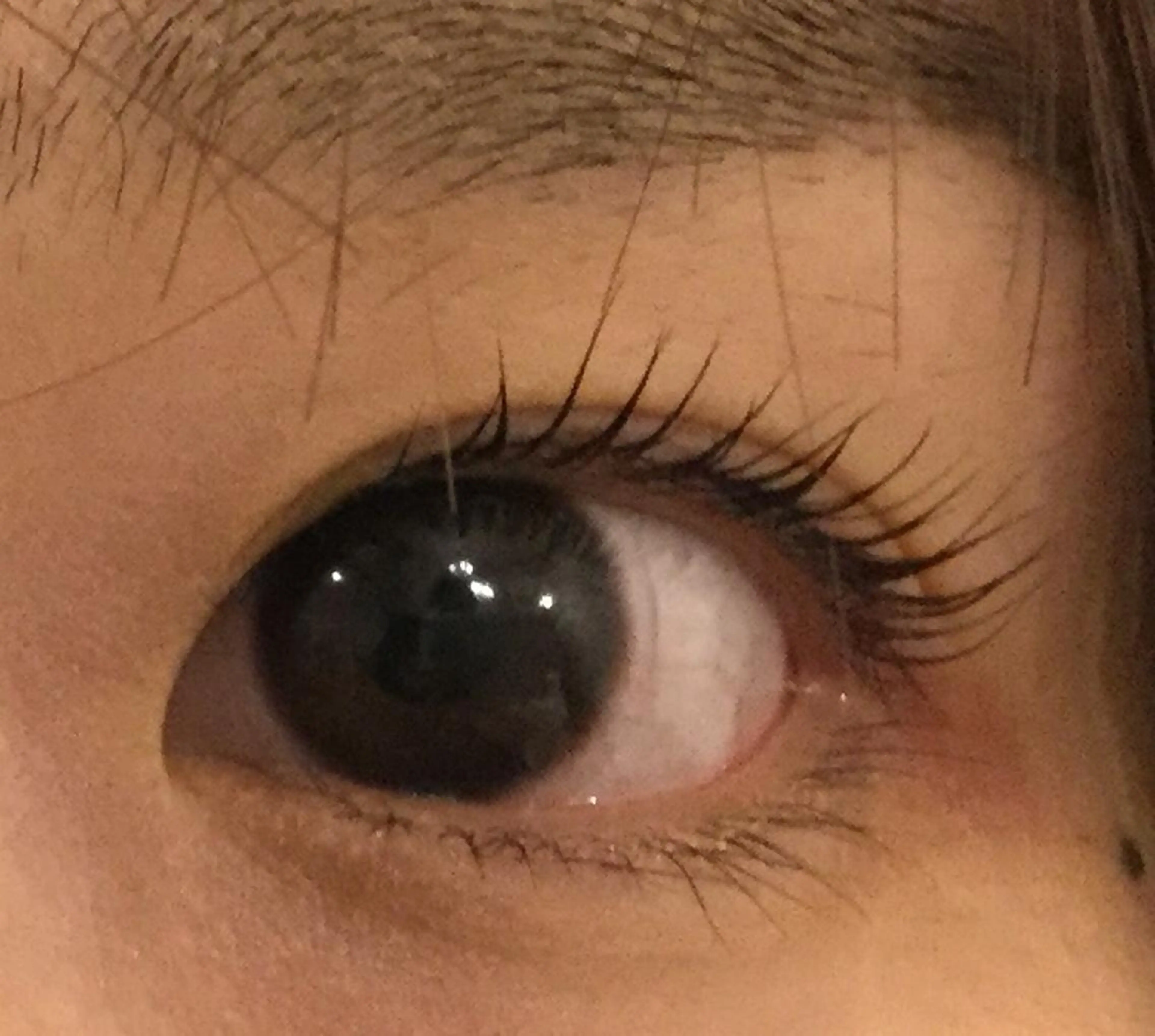 マツエク・マツパ パリジェンヌラッシュリフト 一重×まつ毛パーマ Kalon Irisのマツエク・マツパデザイン