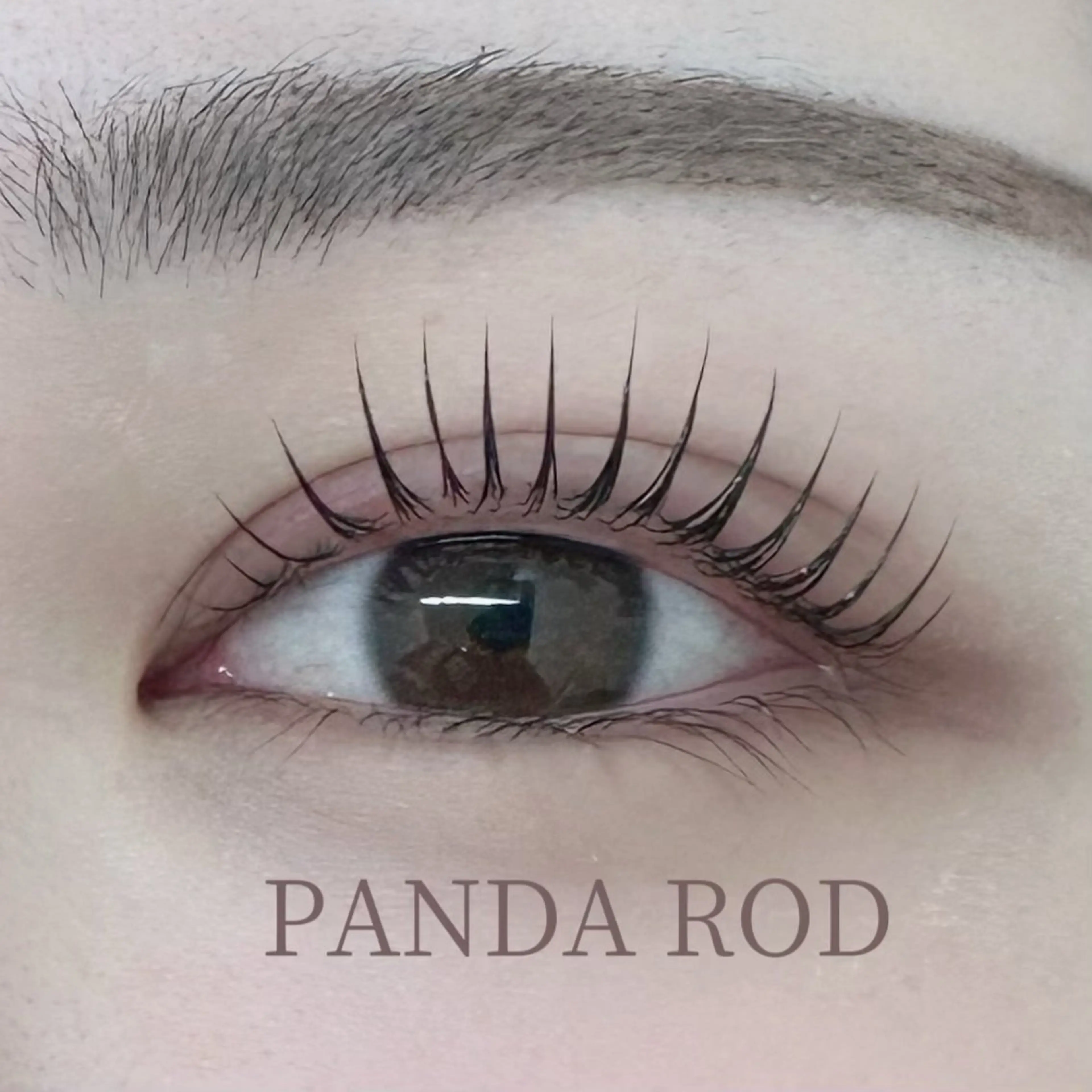 マツエク・マツパ alice tokyo🌿鈴木のマツエク・マツパデザイン