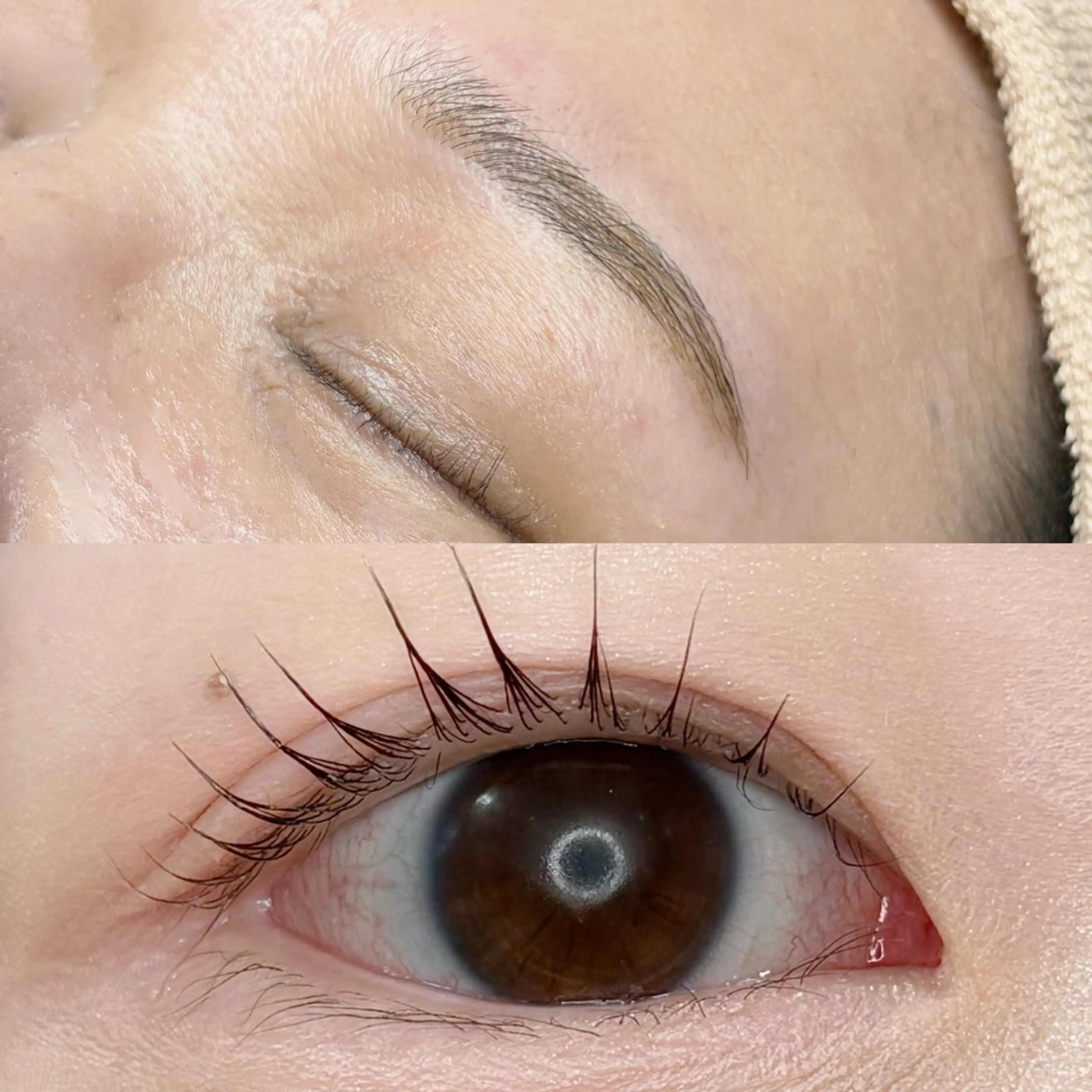 まつげパーマ+ブロウスタイリング🩶🪽(まつげパーマトリートメント付き)の写真