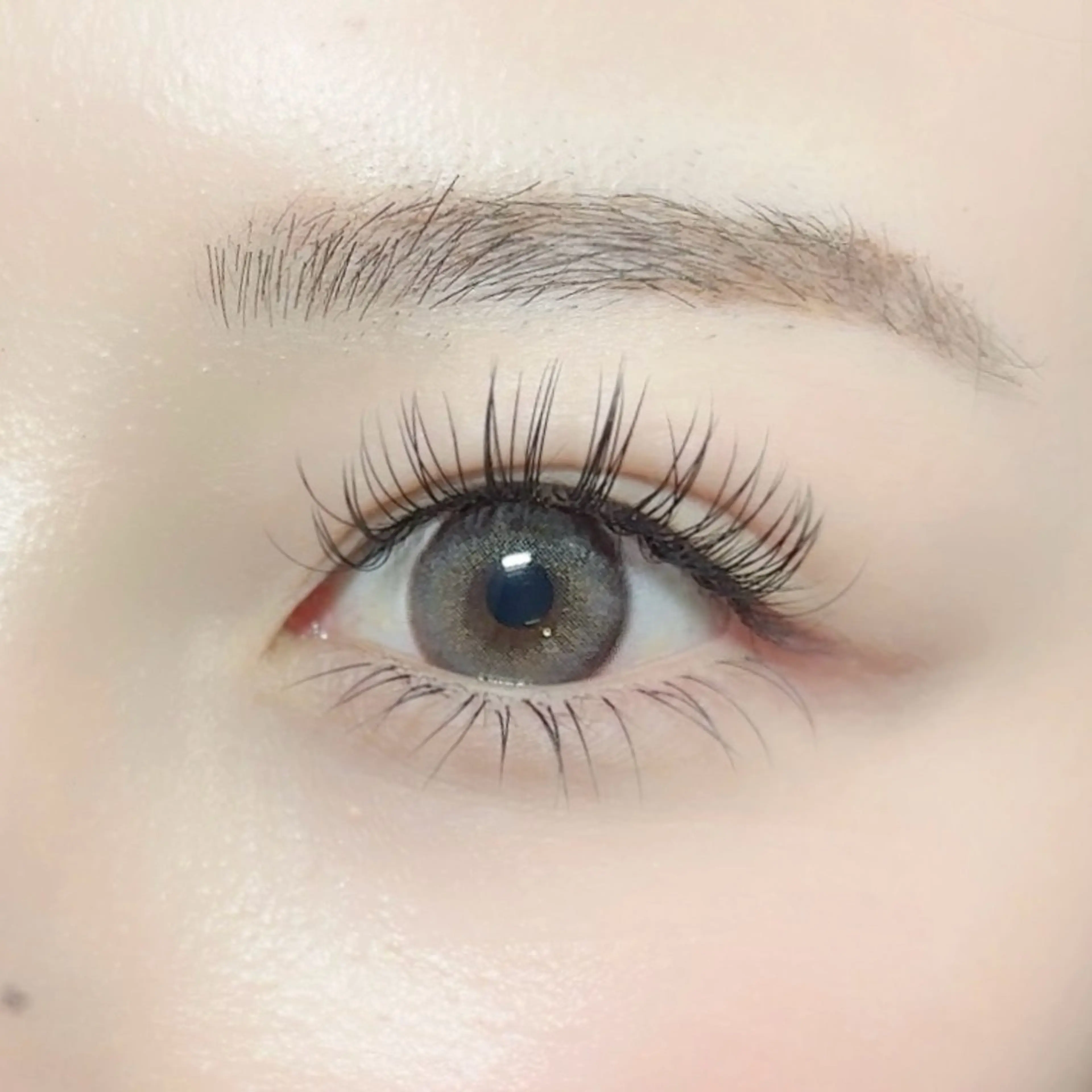 【 下マツエク 】 30分間付け放題 🎀の写真