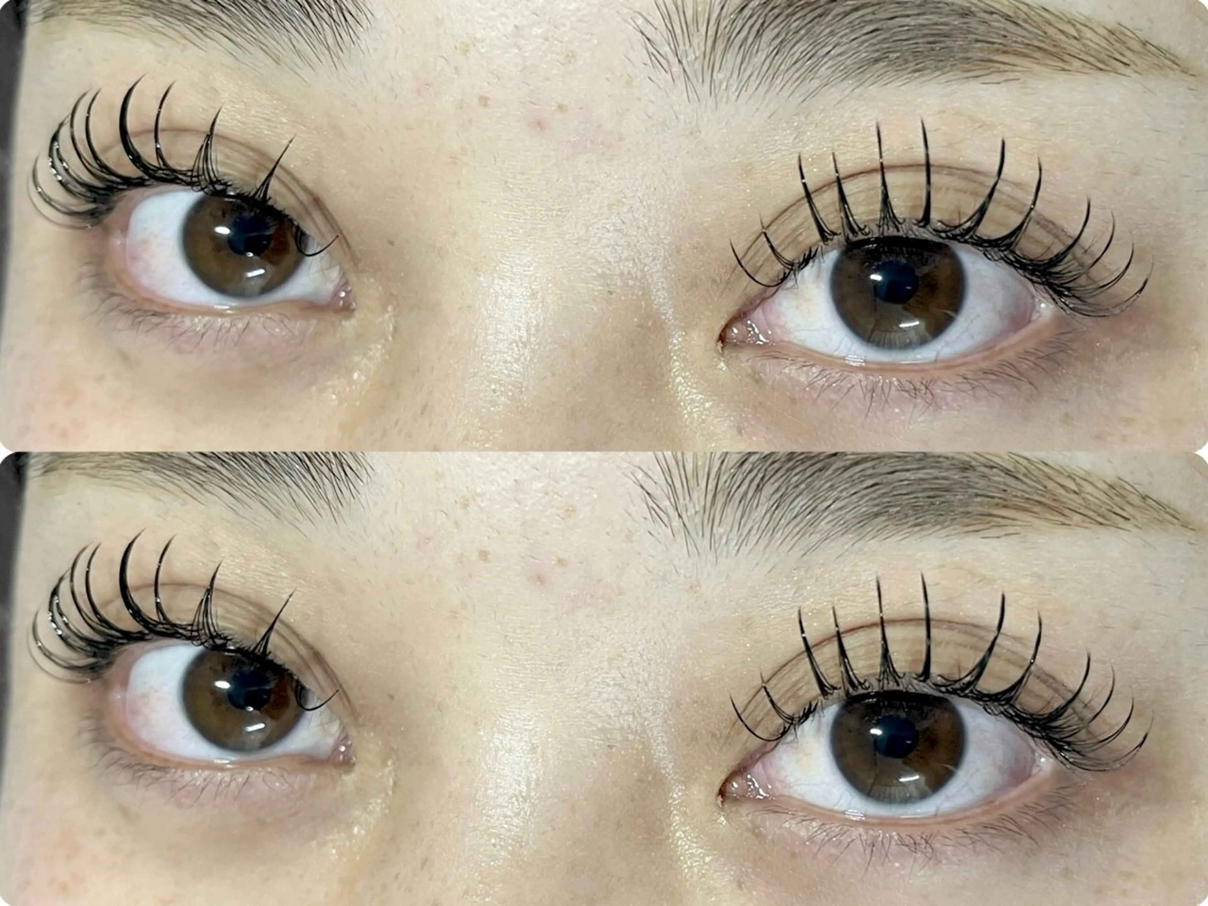 マツエク・マツパ フラットラッシュ Favori 山下のマツエク・マツパデザイン