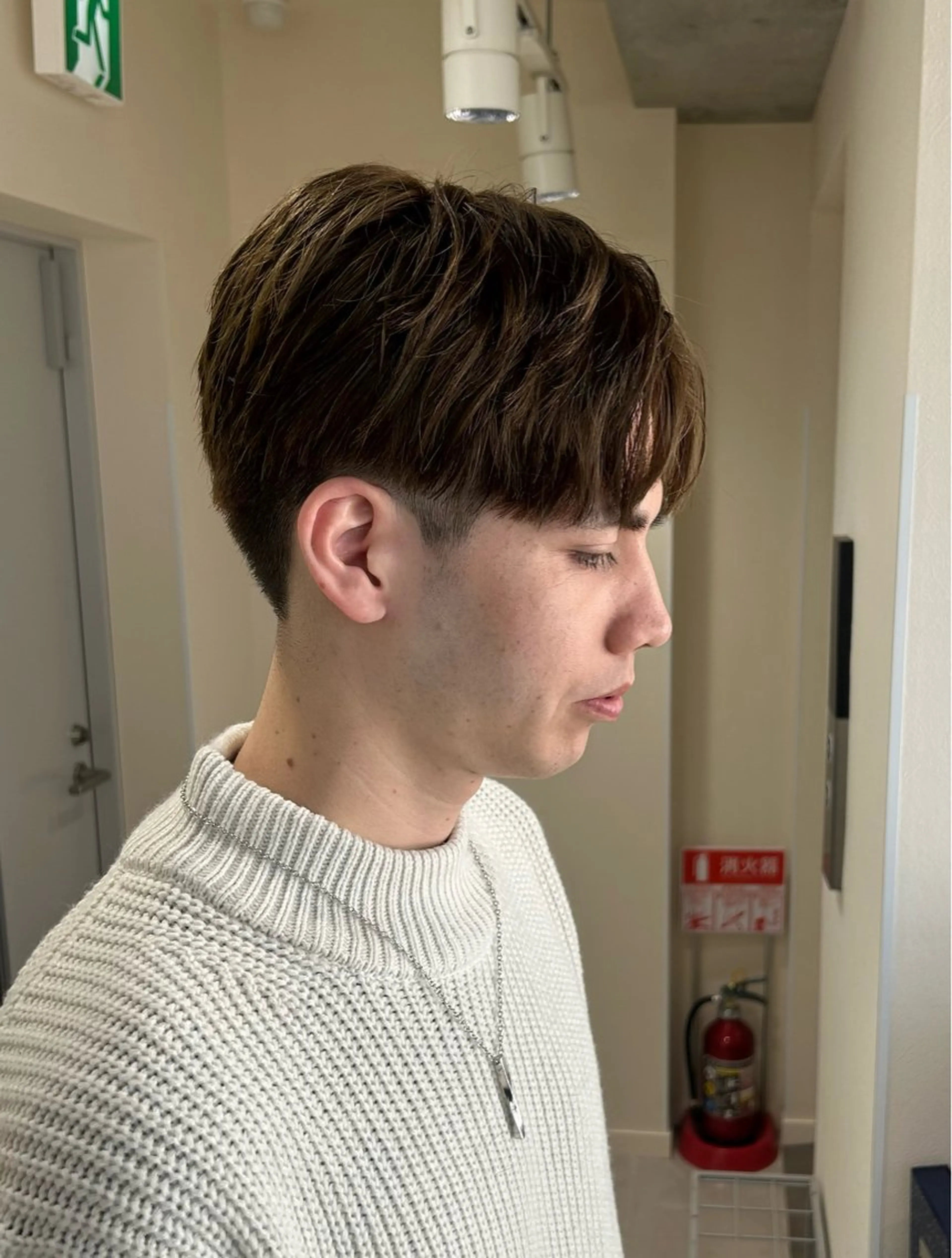 メンズ ルナ/レイヤー /ベージュのヘアスタイル