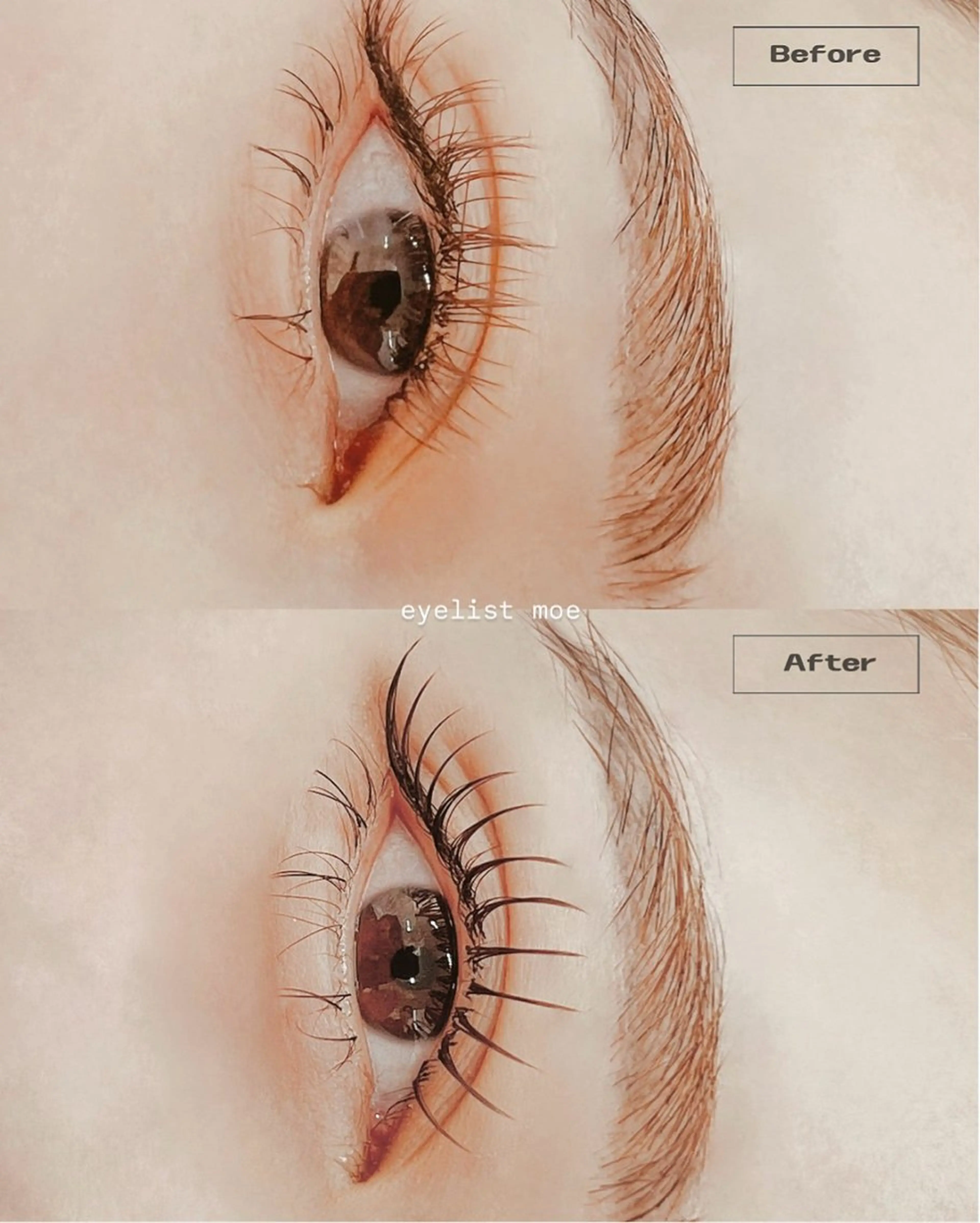 マツエク・マツパ ナチュラル マツエク EYE405 千葉店所属・Moe .のマツエク・マツパデザイン