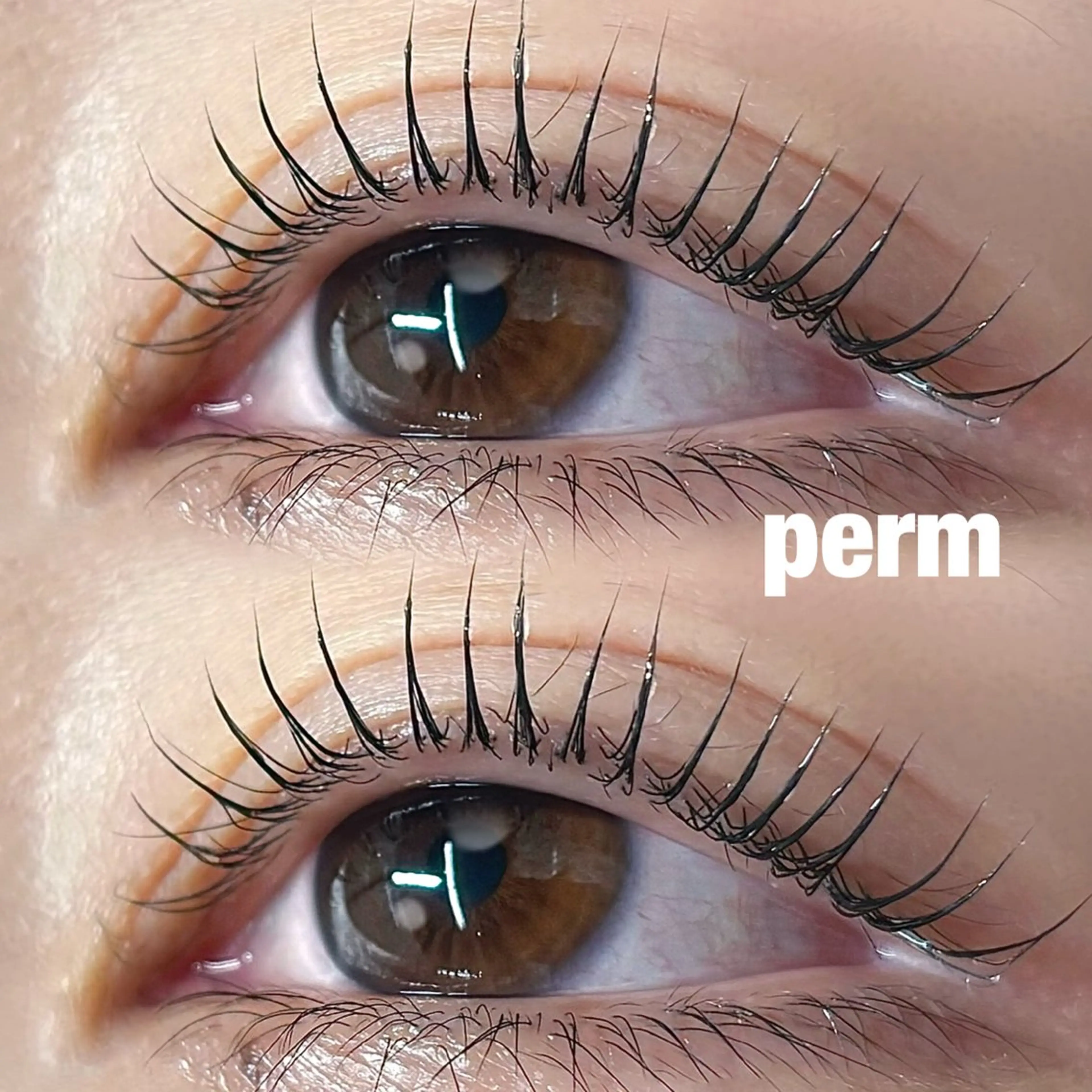 マツエク・マツパ 🌈iolo ishida🌈のマツエク・マツパデザイン