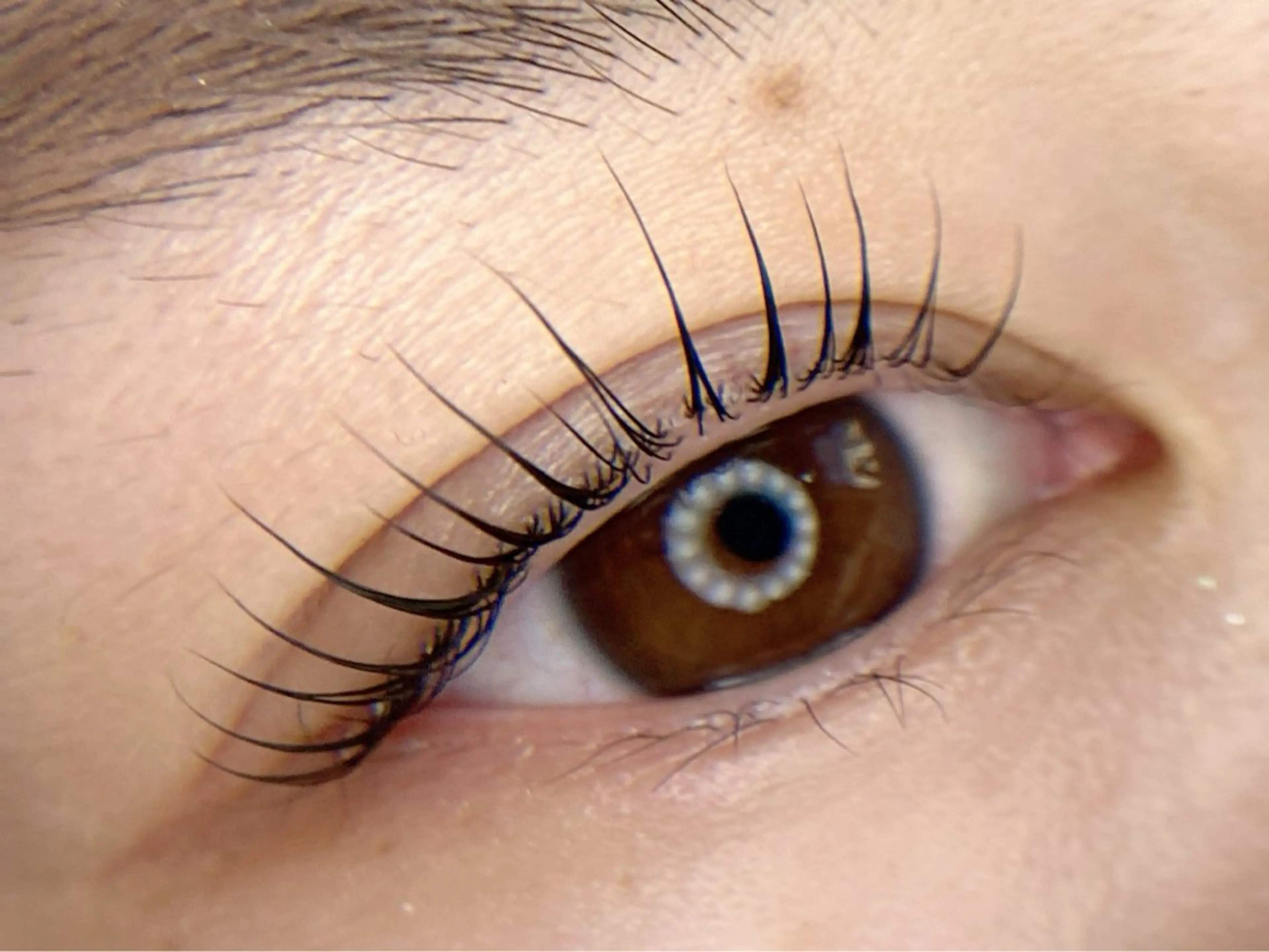 マツエク・マツパ マツパ tomte トムテのマツエク・マツパデザイン