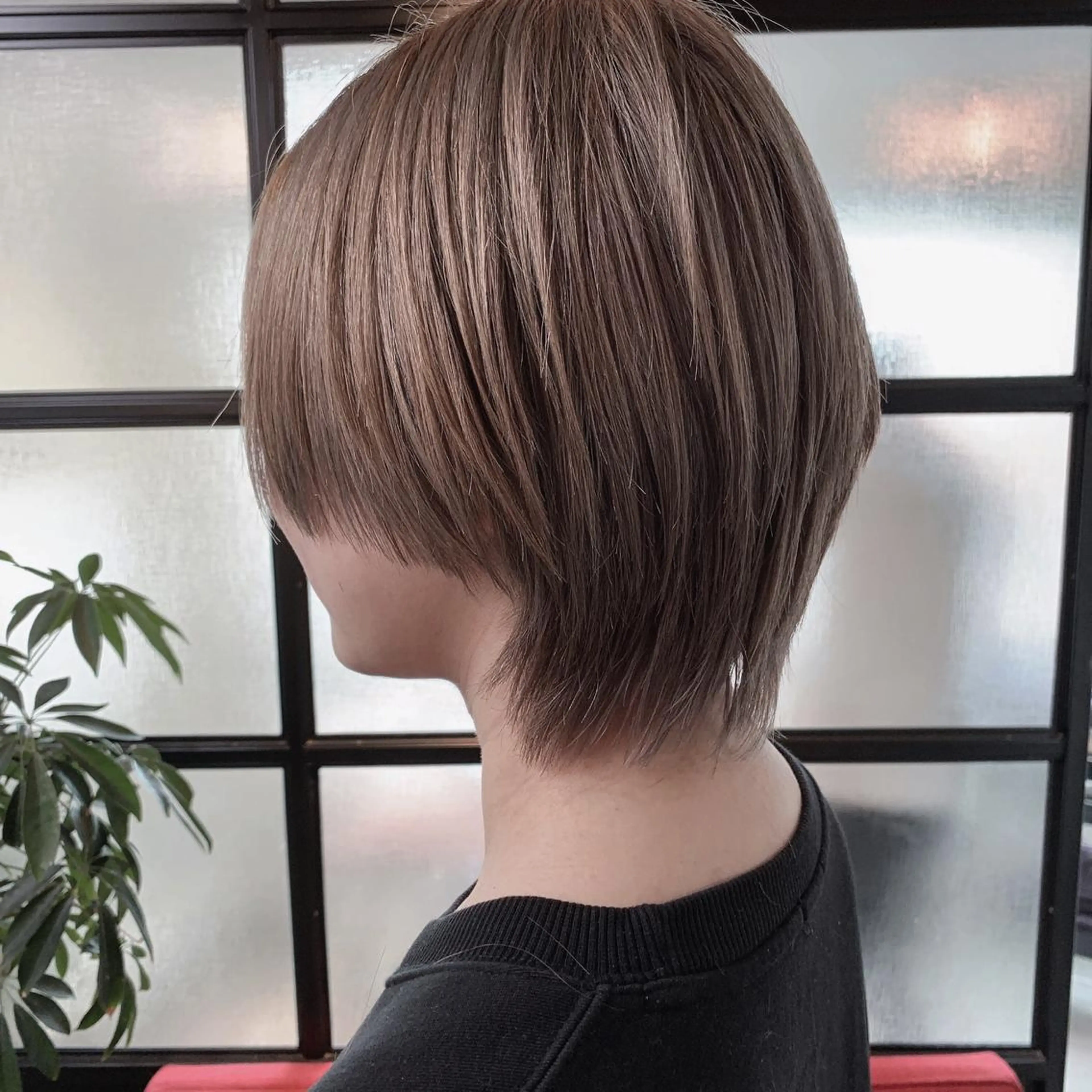 カラー なかの たくみのヘアスタイル