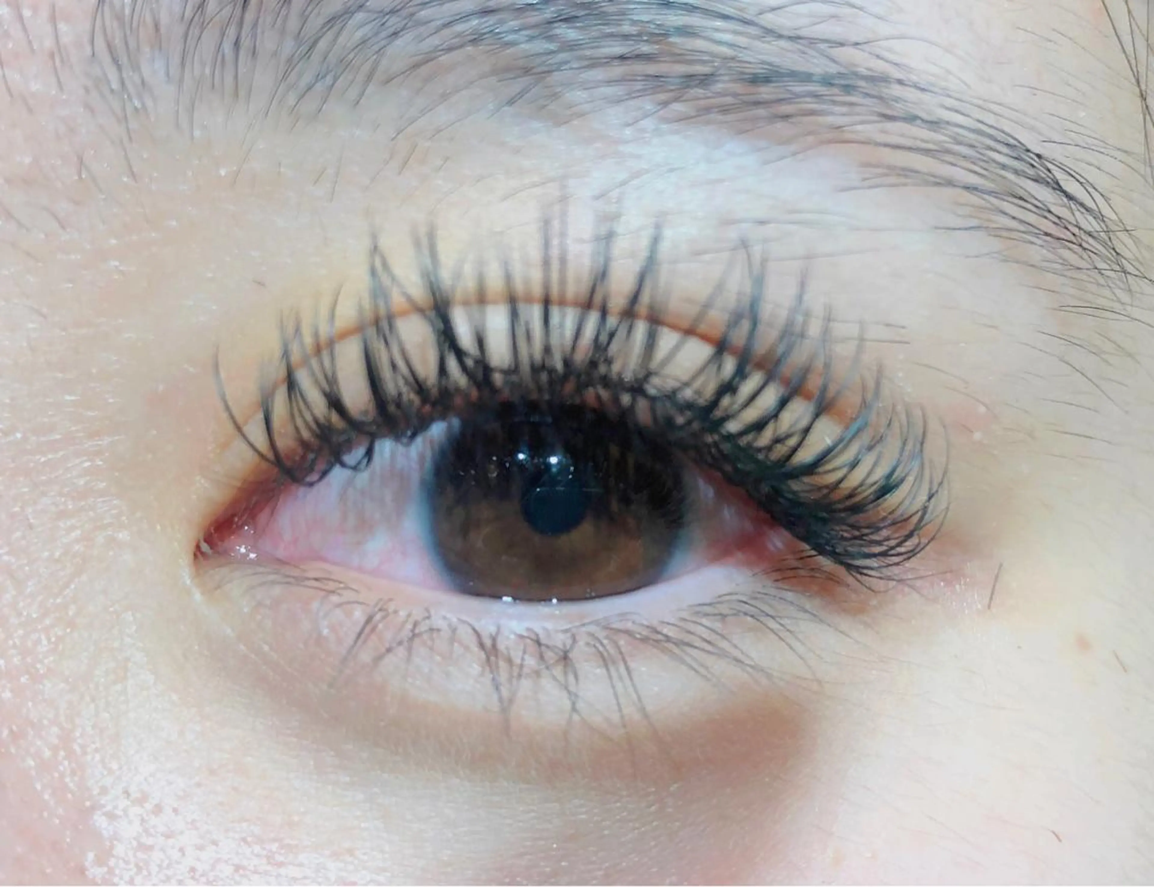 マツエク・マツパ Dカール 野田 京七のマツエク・マツパデザイン