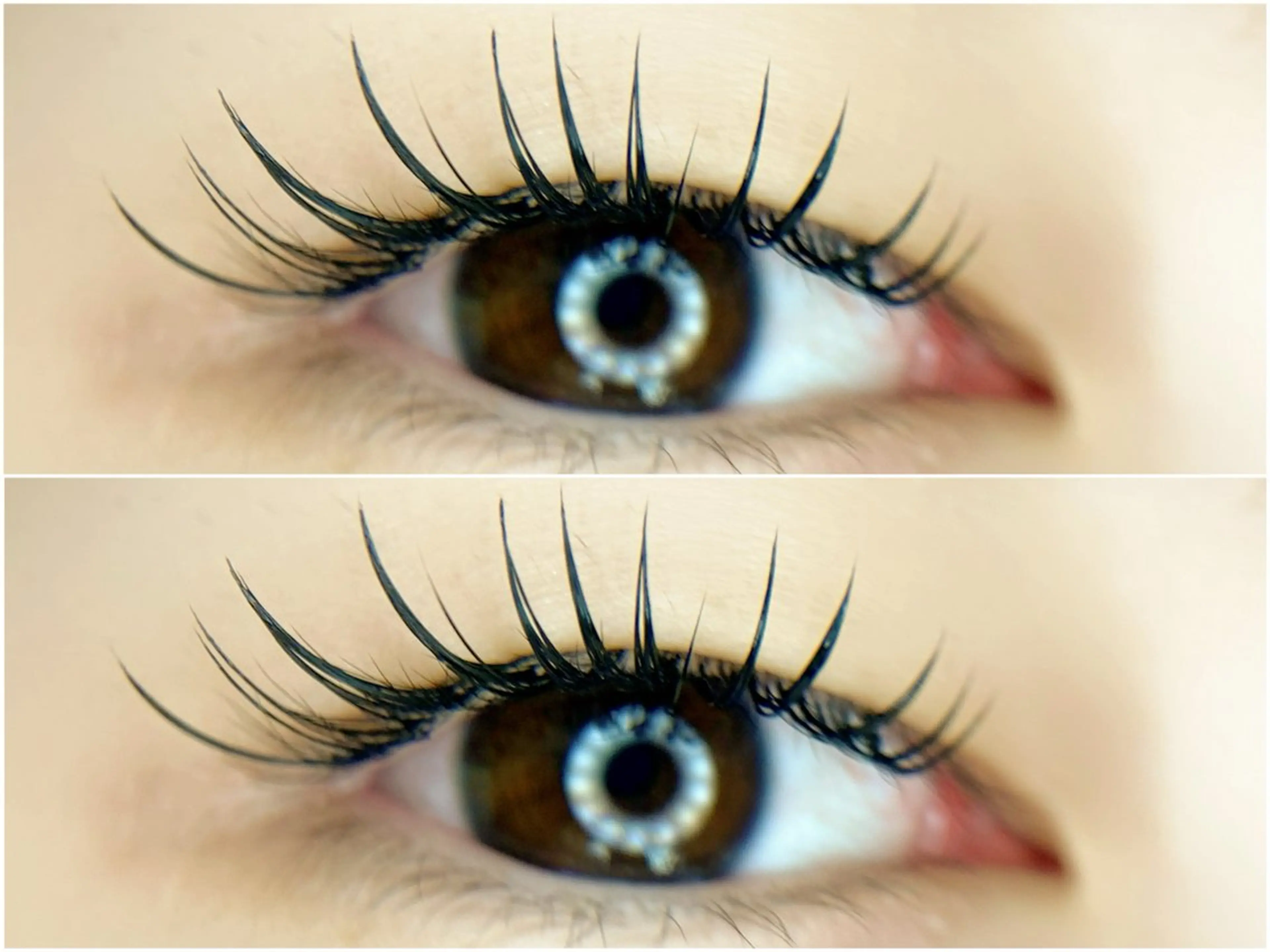 マツエク・マツパ マツエク tomte トムテのマツエク・マツパデザイン